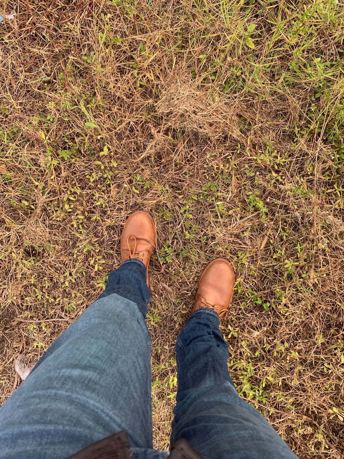 Photo by bawls on December 1, 2023 of the Oak Street Bootmakers Trench Boot in Horween Natural Chromexcel.