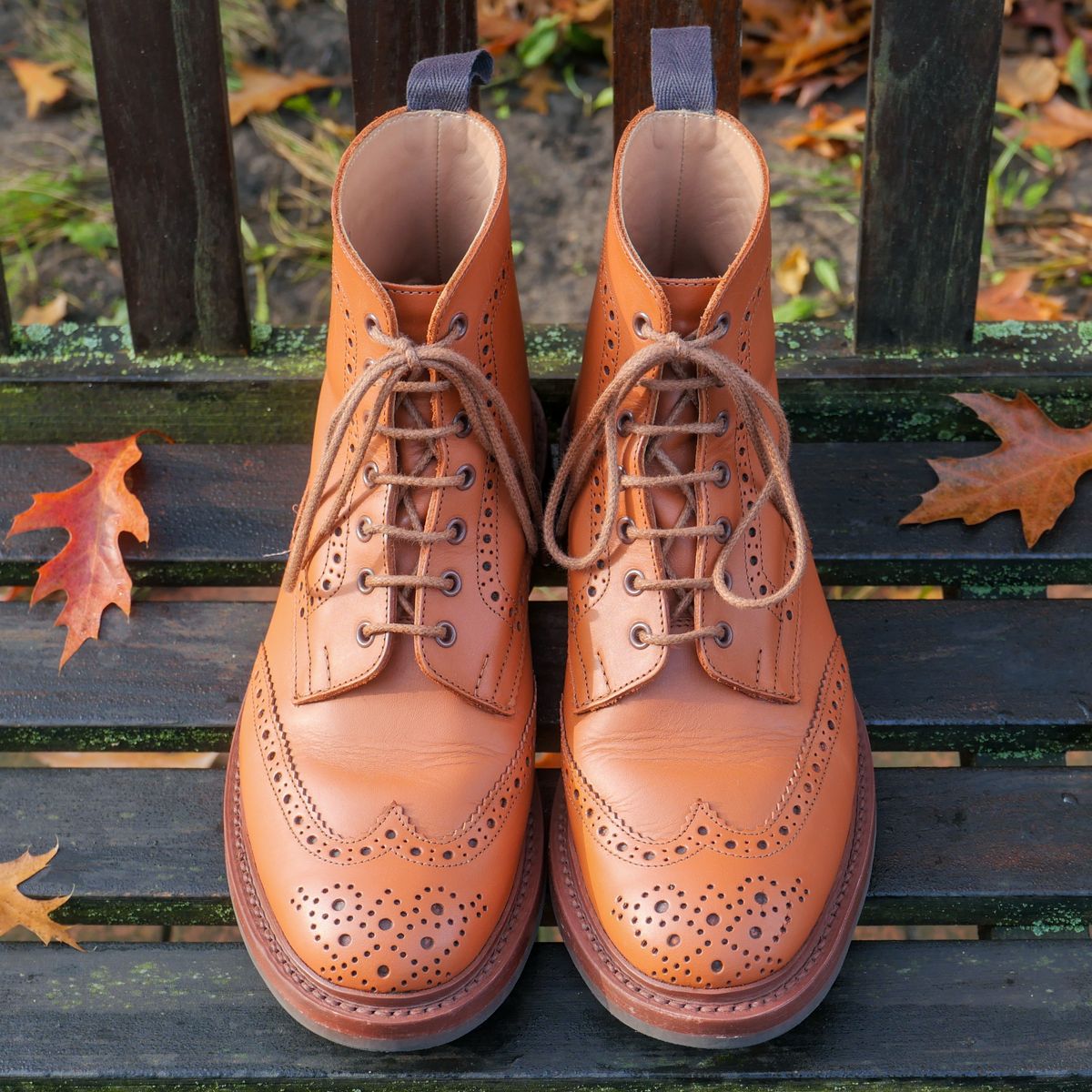 Photo by vubui on November 5, 2024 of the Tricker's Malton Country Boot in C-Shade Tan.