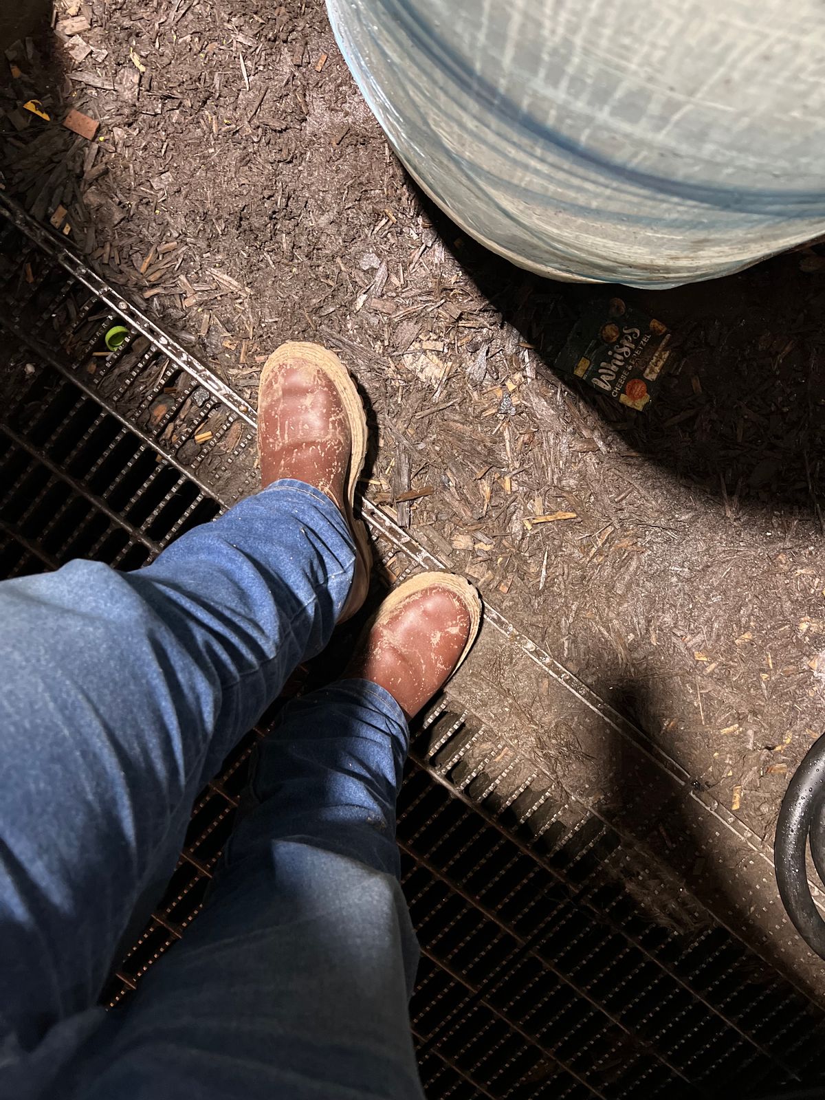 Photo by wcurry_1 on February 3, 2024 of the White's Nomad Engineer Boots in Seidel Red Dog Oil Tan.