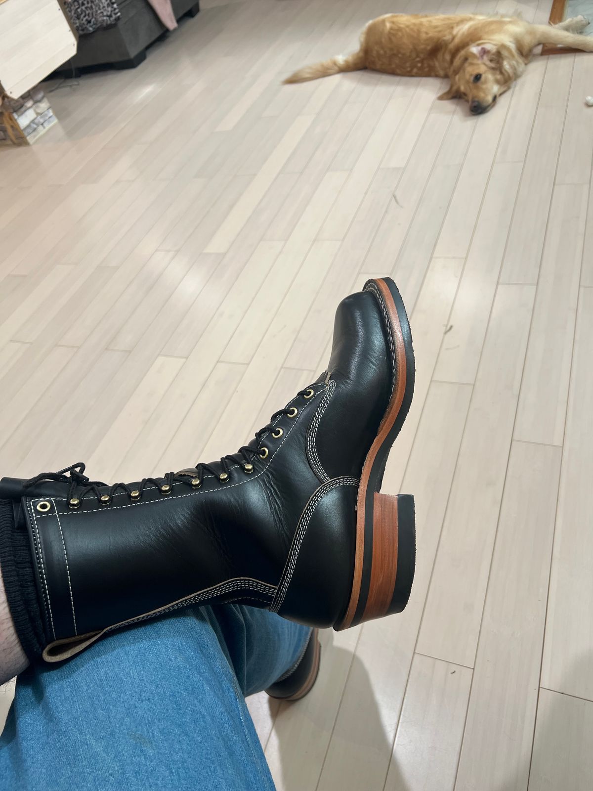 Photo by wcurry_1 on January 29, 2025 of the Frank's Boots Wilson in Horween Black Chromexcel.
