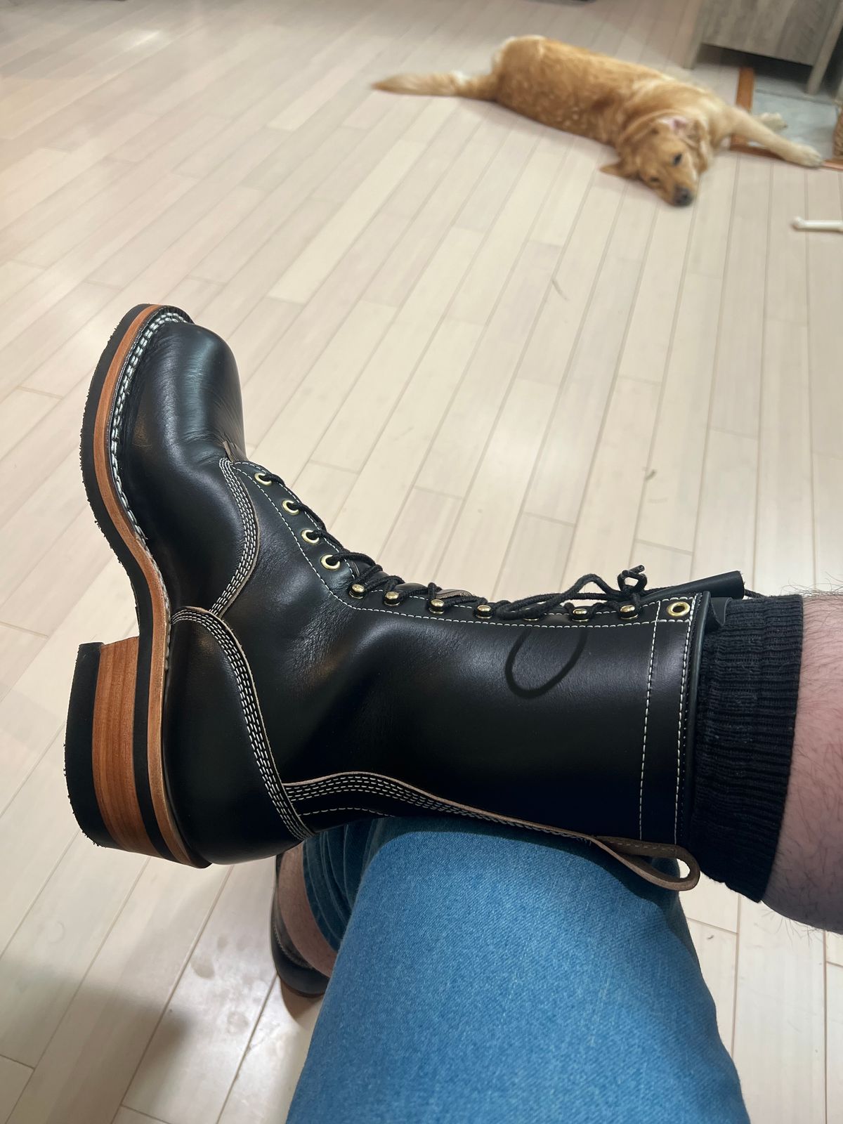 Photo by wcurry_1 on January 29, 2025 of the Frank's Boots Wilson in Horween Black Chromexcel.