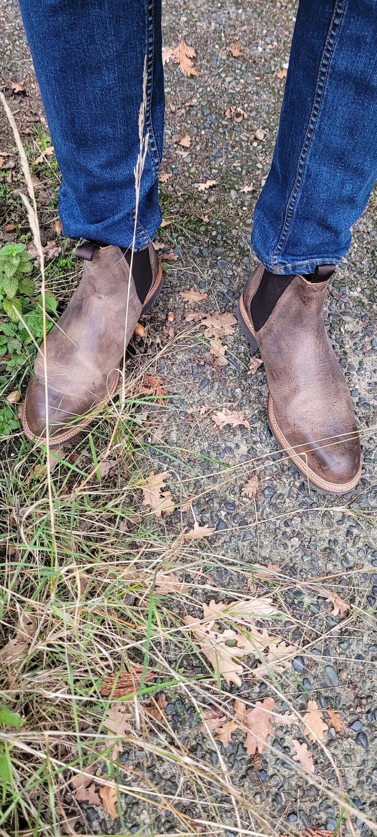 Photo by Argyle89 on November 2, 2023 of the Meermin Chelsea Boot in C.F. Stead Gaucho Waxy Kudu.