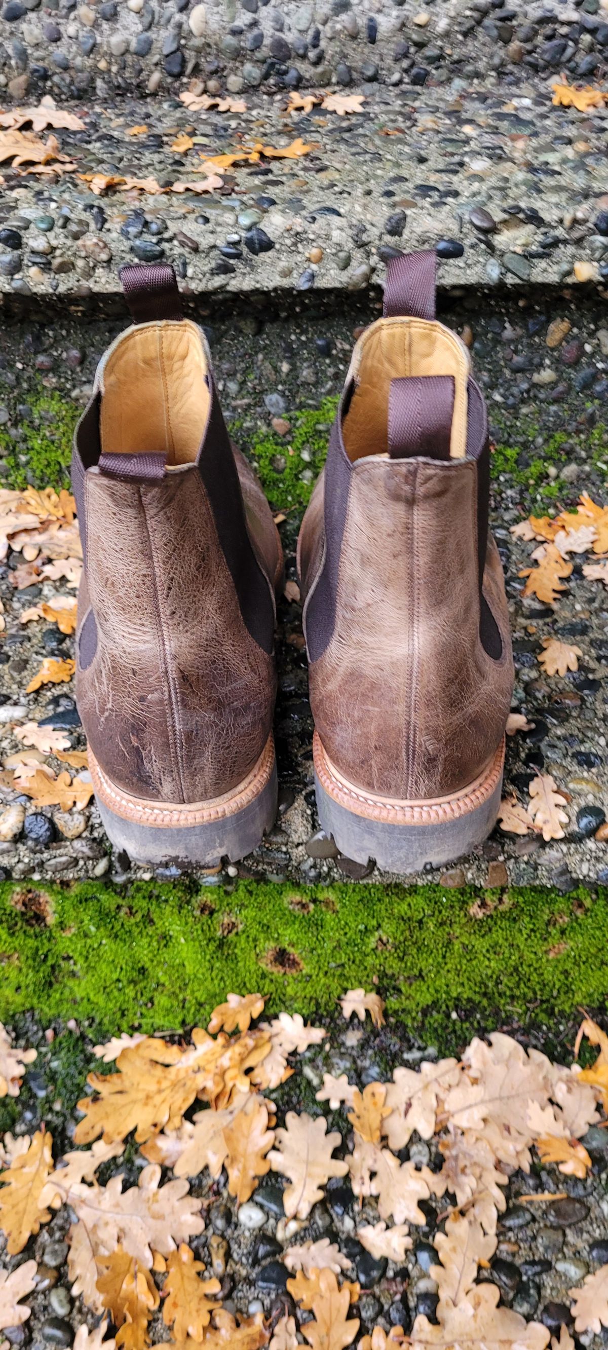 Photo by Argyle89 on December 4, 2023 of the Meermin Chelsea Boot in C.F. Stead Gaucho Waxy Kudu.