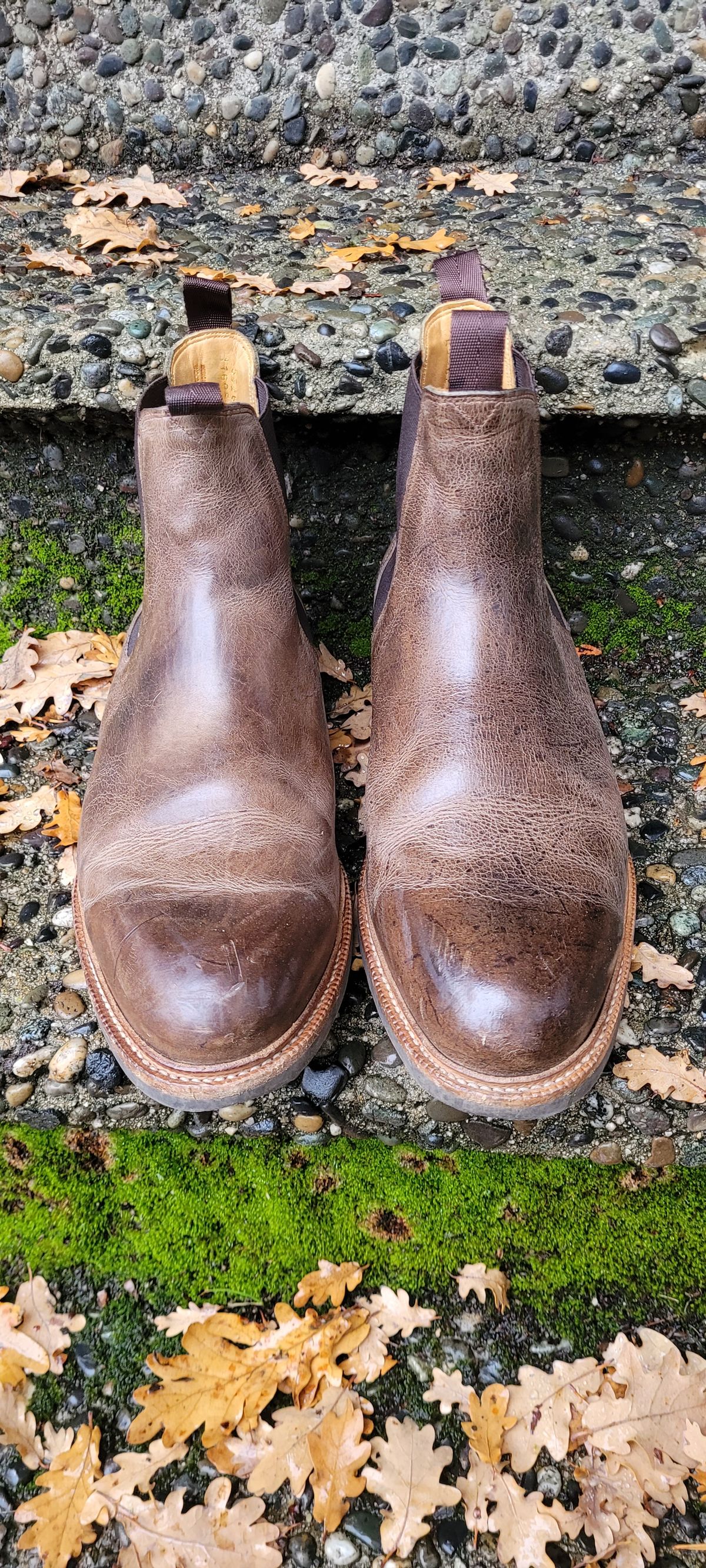 Photo by Argyle89 on December 4, 2023 of the Meermin Chelsea Boot in C.F. Stead Gaucho Waxy Kudu.