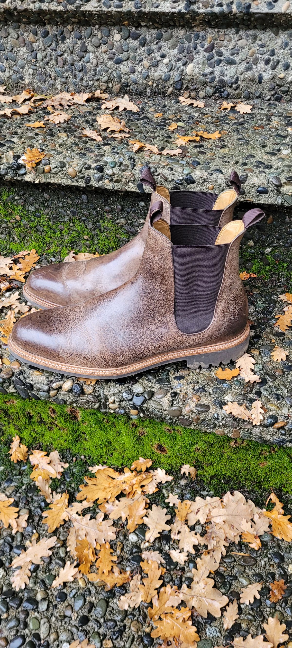 Photo by Argyle89 on December 4, 2023 of the Meermin Chelsea Boot in C.F. Stead Gaucho Waxy Kudu.