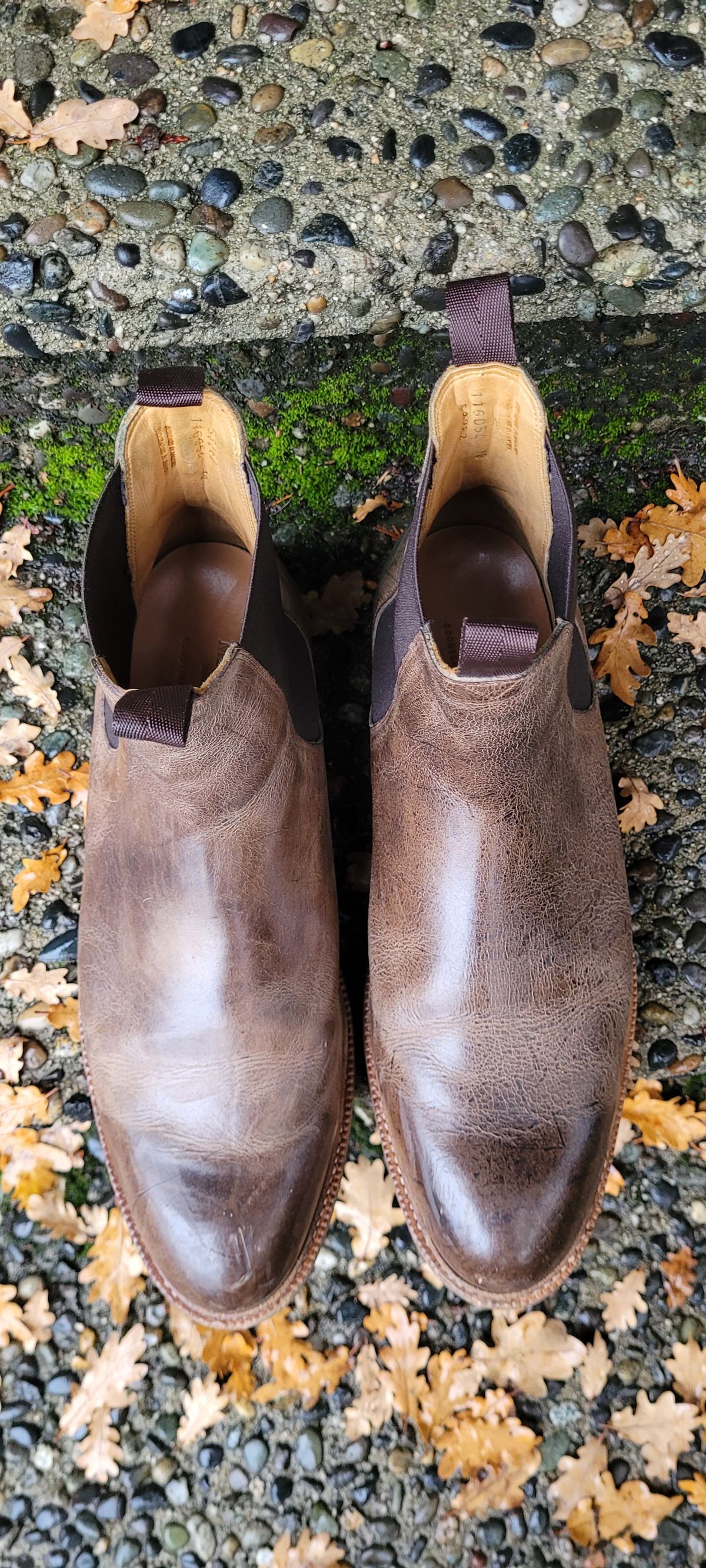 Photo by Argyle89 on December 4, 2023 of the Meermin Chelsea Boot in C.F. Stead Gaucho Waxy Kudu.