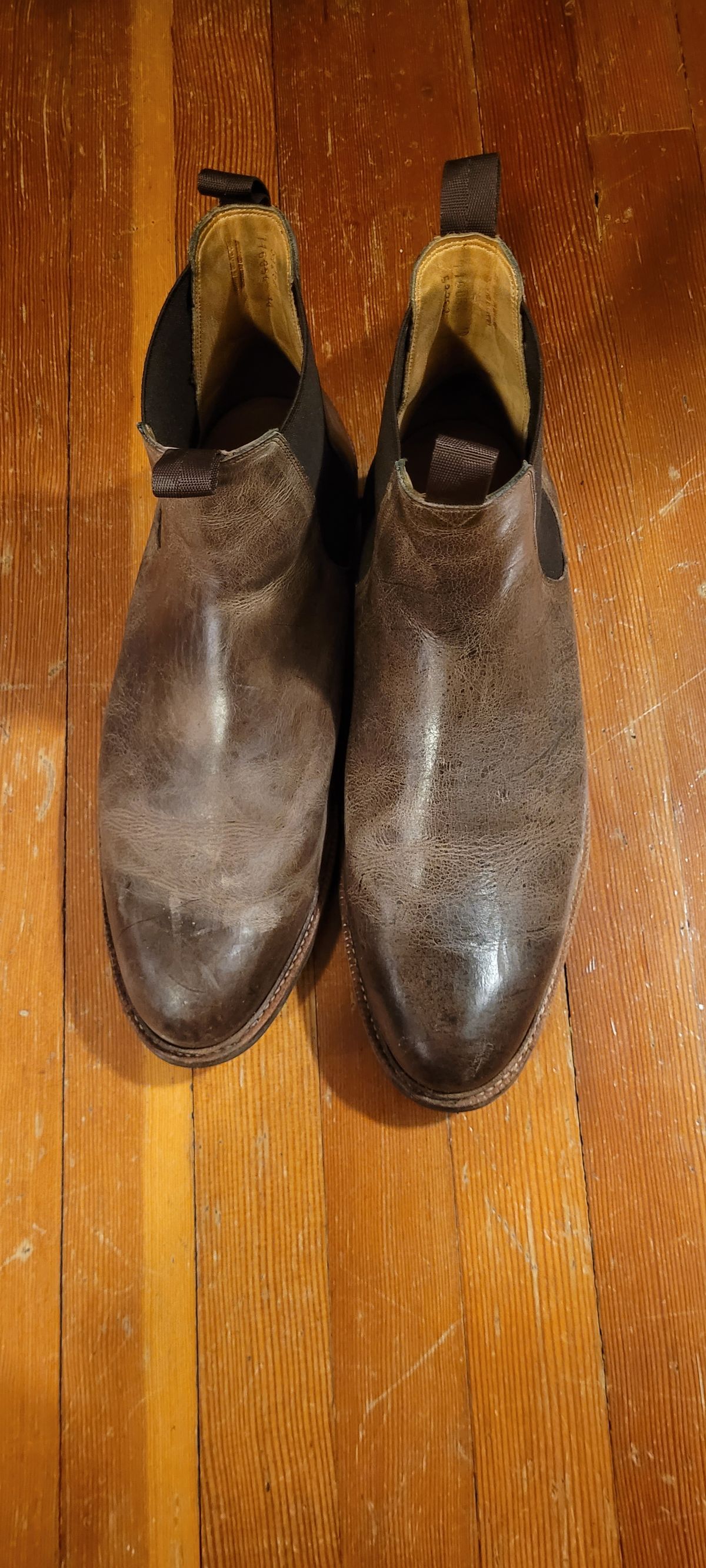 Photo by Argyle89 on January 6, 2024 of the Meermin Chelsea Boot in C.F. Stead Gaucho Waxy Kudu.