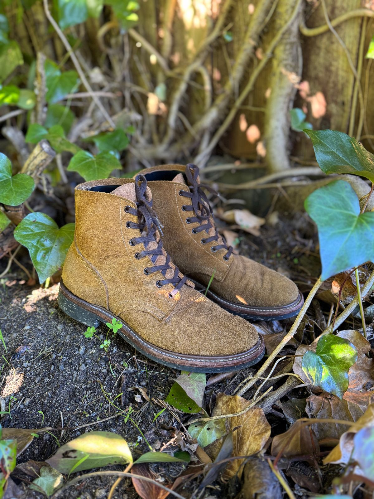 Photo by ChrisBurns670 on December 3, 2024 of the Role Club Boondockers in Rich Brown Roughout.