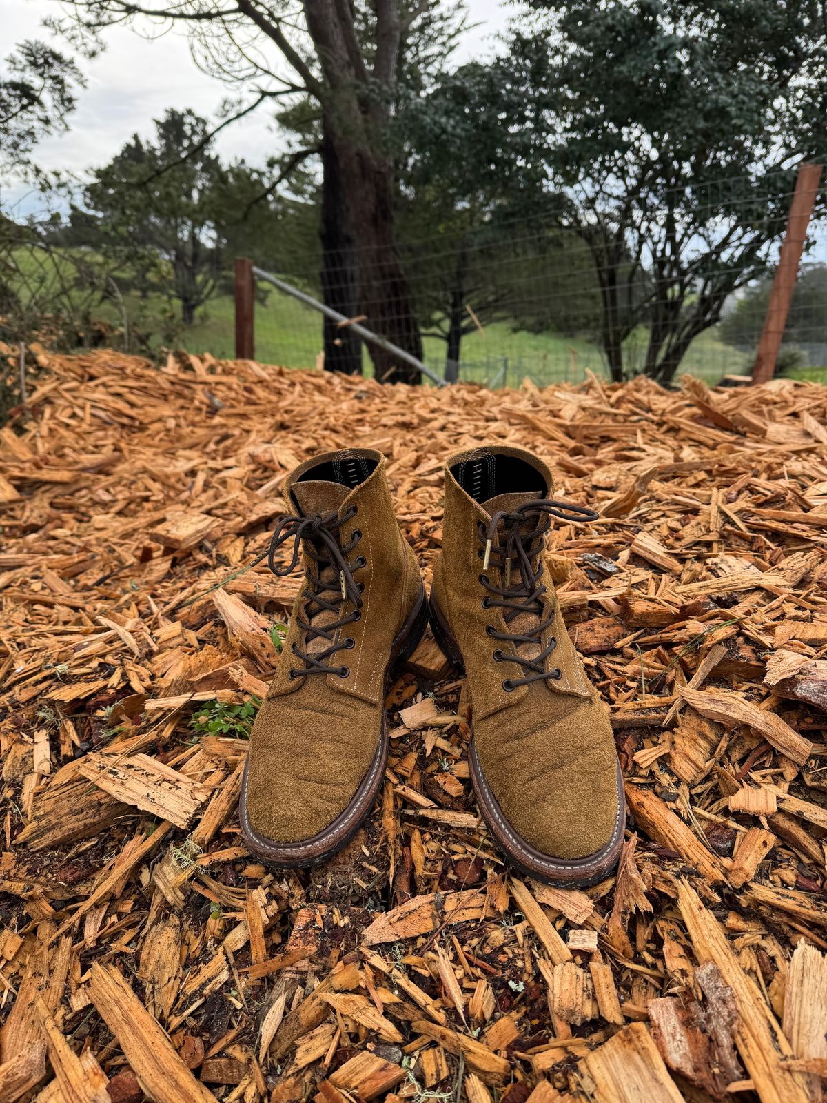 Photo by ChrisBurns670 on February 3, 2025 of the Role Club Boondockers in Rich Brown Roughout.