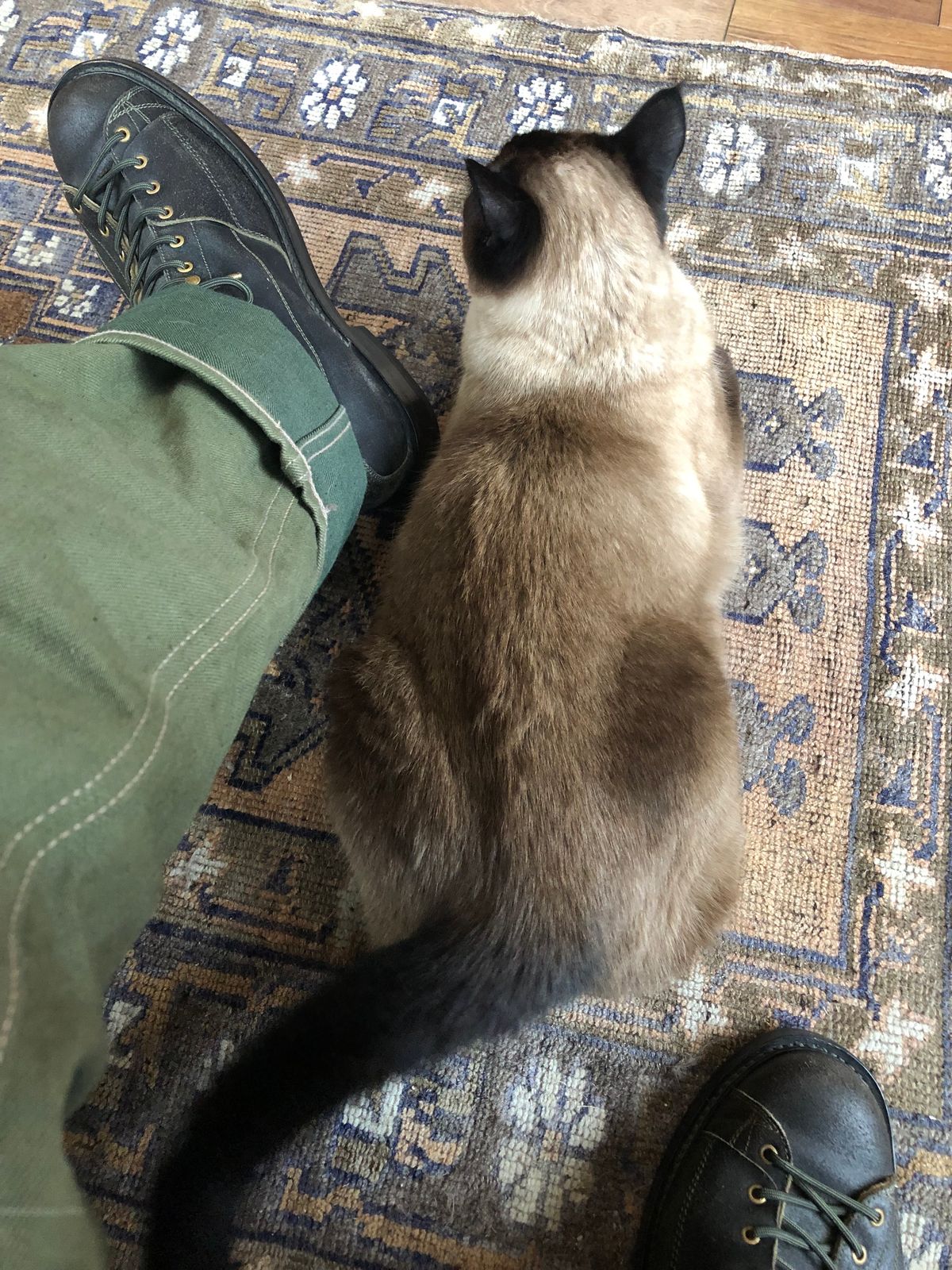 Photo by ChrisBurns670 on November 22, 2023 of the Sagara Cordmaster in Badalassi Carlo Oliva Minerva Overdyed Black.