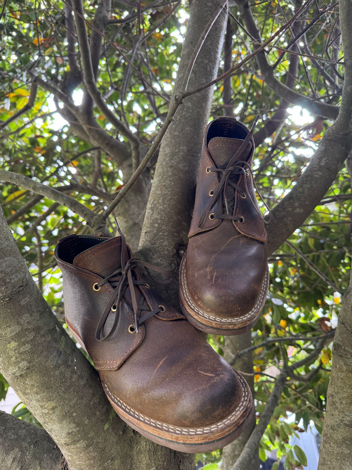 Photo by ChrisBurns670 on November 2, 2025 of the Wesco x Ship John Drake Chukka in Brown Waxed Cowhide.