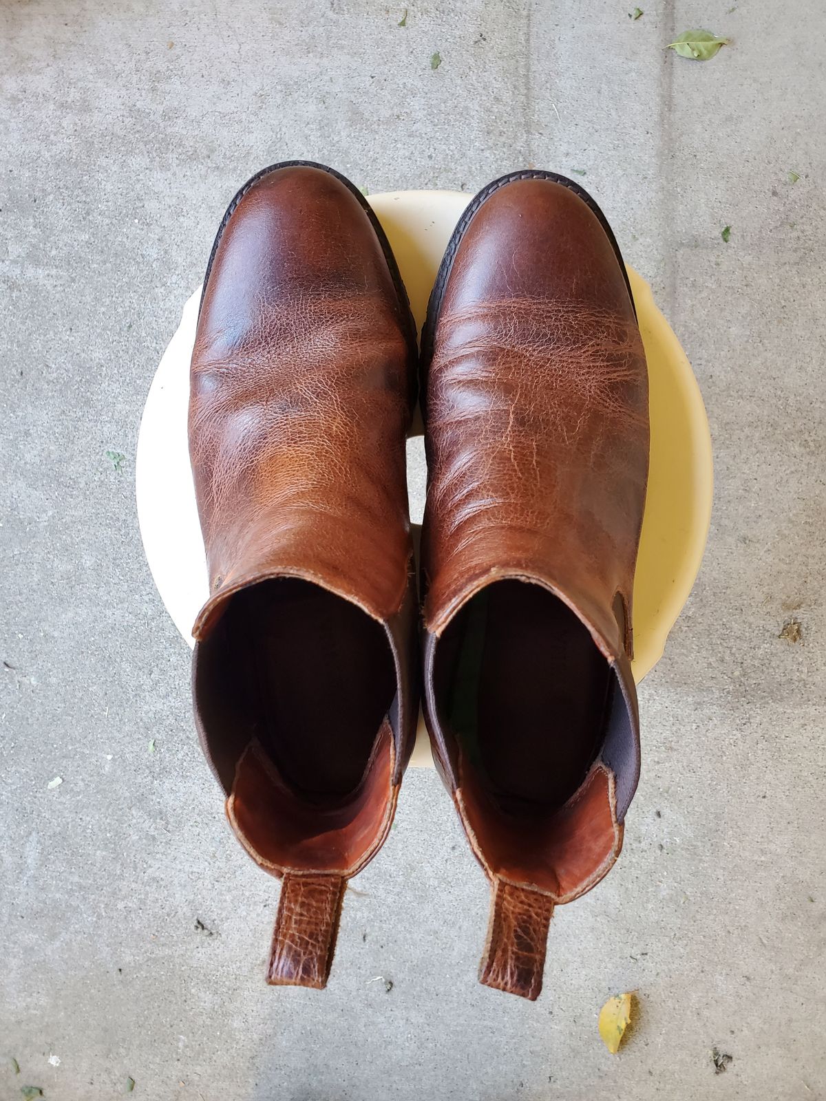 Photo by forest_chief on November 4, 2023 of the Portland Leather Chelsea Boot in Highland Brown.