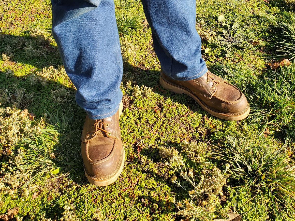 Photo by forest_chief on January 4, 2024 of the Thorogood American Heritage 8" Moc Toe in Seidel Trail Crazy Horse.