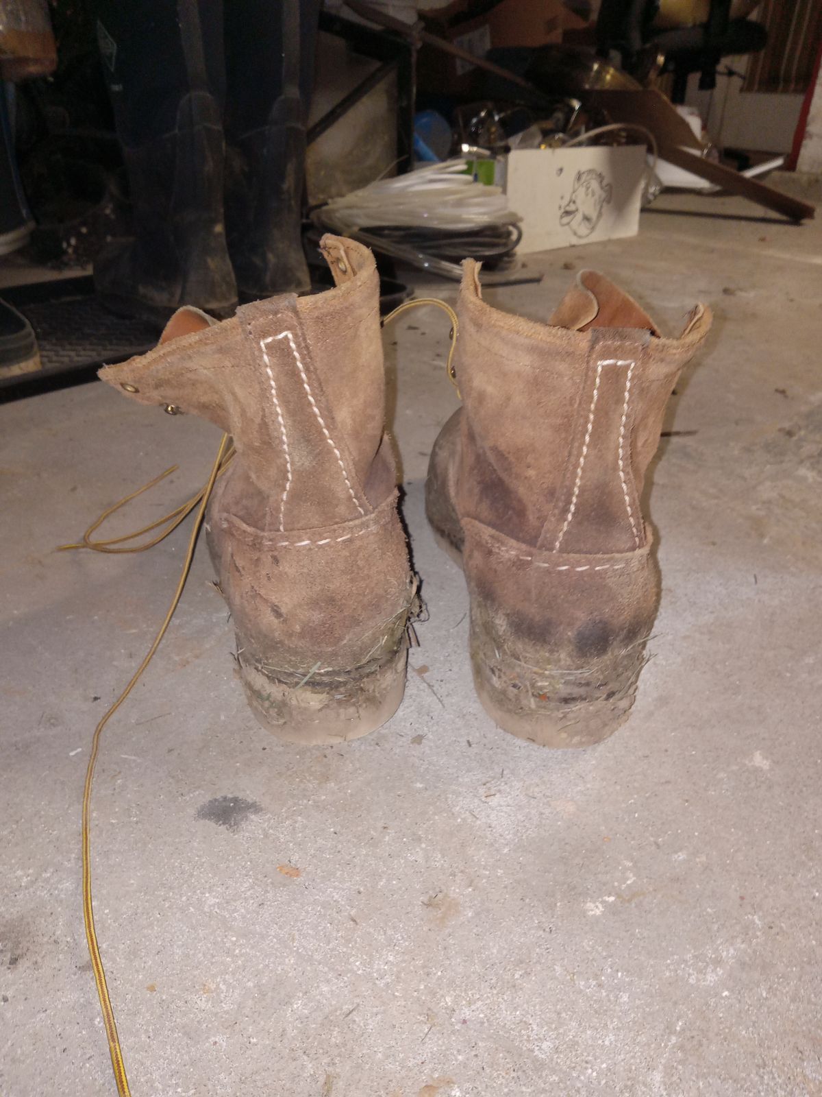 Photo by peanutbutter on February 6, 2024 of the Wesco Jobmaster in Seidel British Tan Domain Roughout.