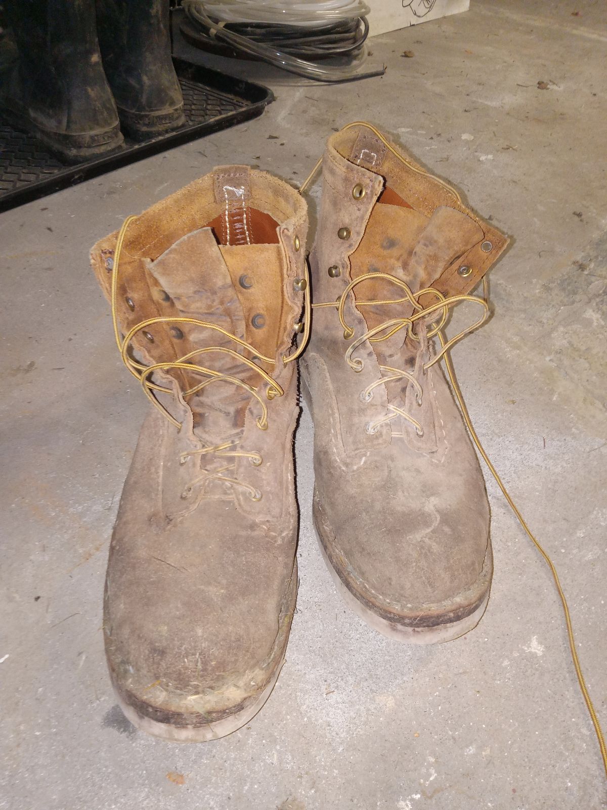 Photo by peanutbutter on February 6, 2024 of the Wesco Jobmaster in Seidel British Tan Domain Roughout.