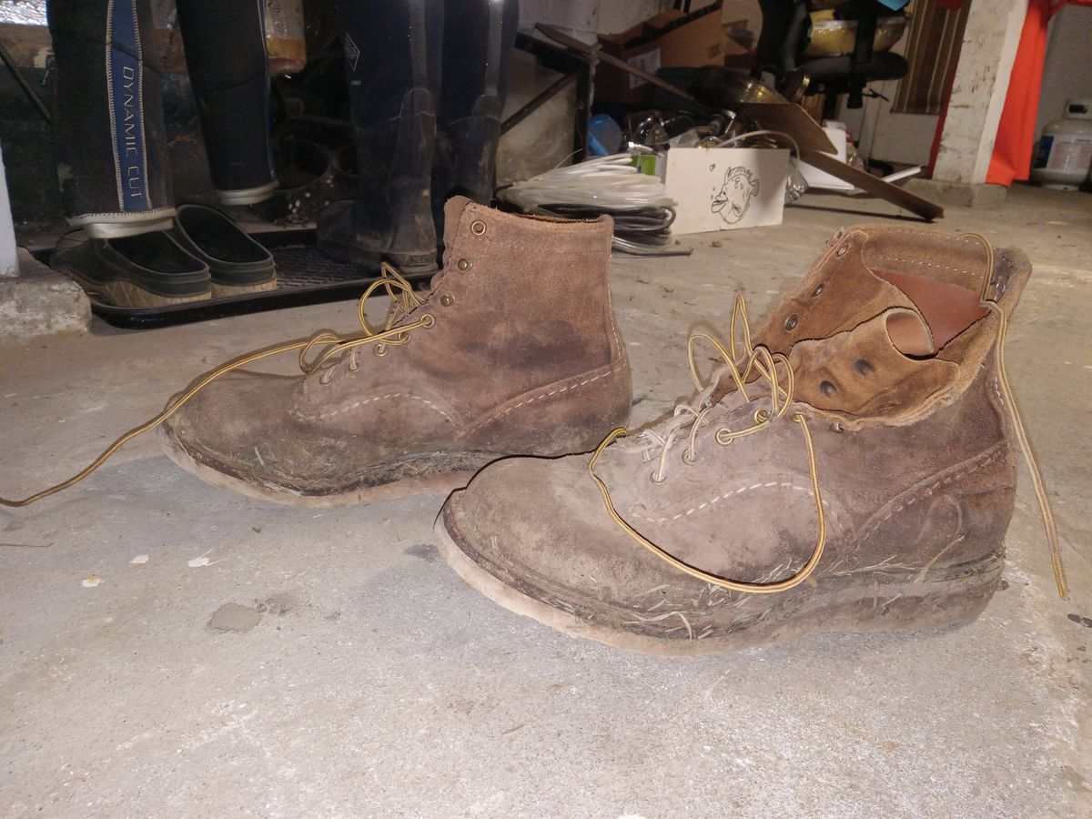 Photo by peanutbutter on February 6, 2024 of the Wesco Jobmaster in Seidel British Tan Domain Roughout.