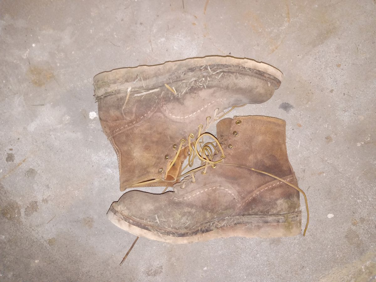 Photo by peanutbutter on February 6, 2024 of the Wesco Jobmaster in Seidel British Tan Domain Roughout.