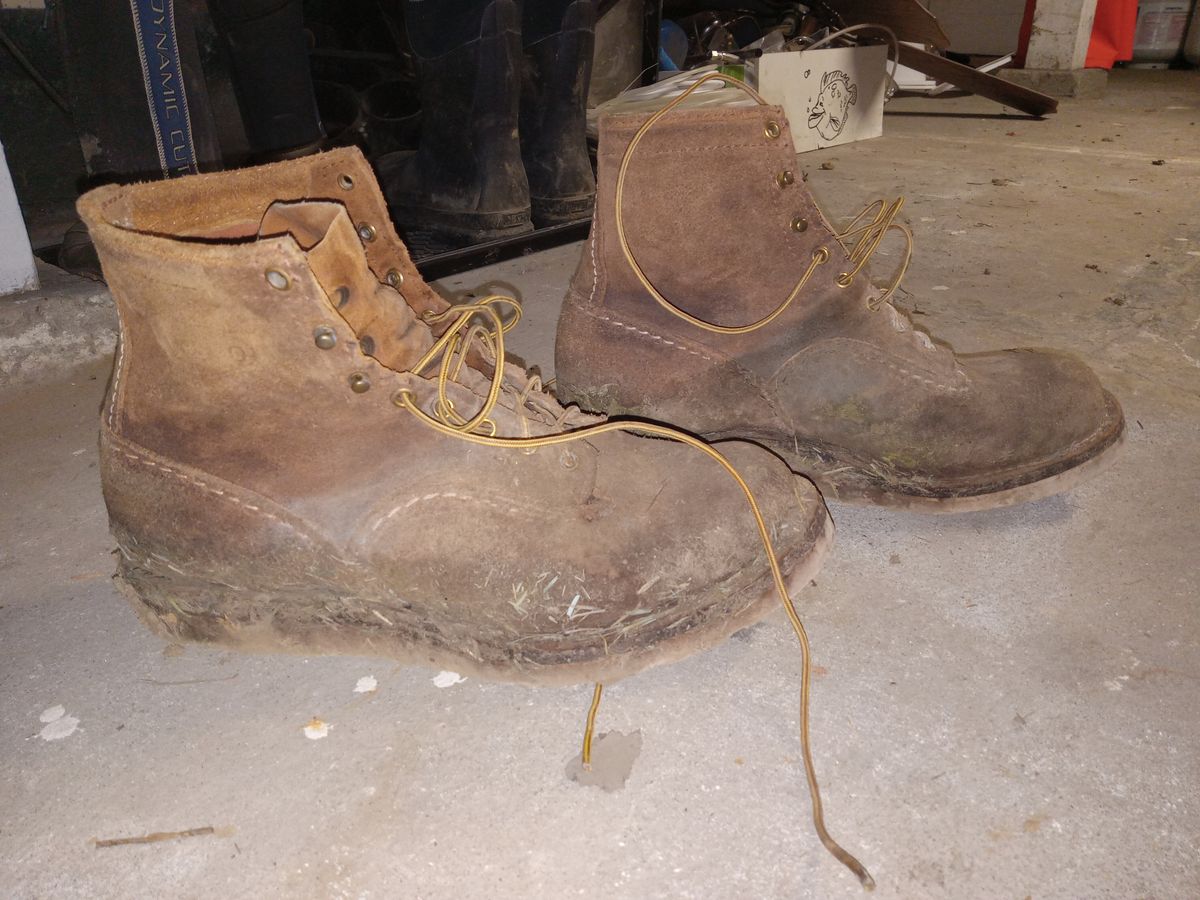 Photo by peanutbutter on February 6, 2024 of the Wesco Jobmaster in Seidel British Tan Domain Roughout.