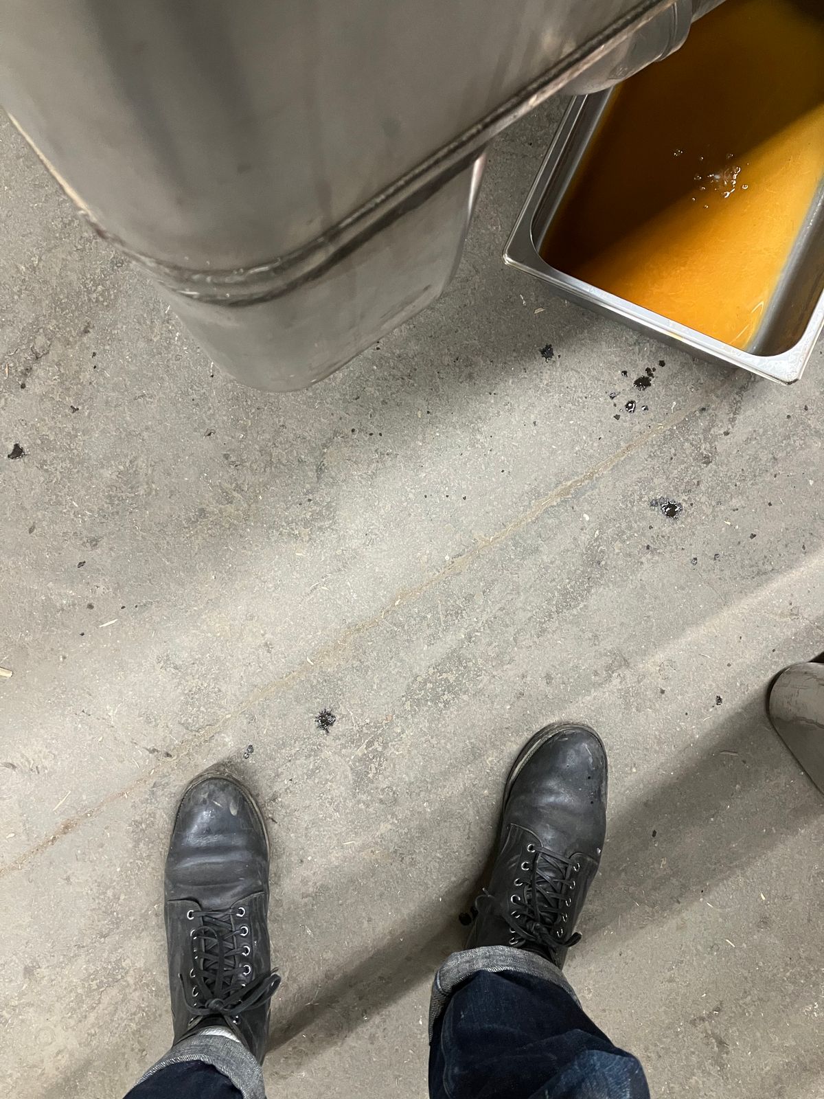 Photo by nr17 on January 4, 2023 of the Viberg Service Boot in Horween Black Chromexcel.