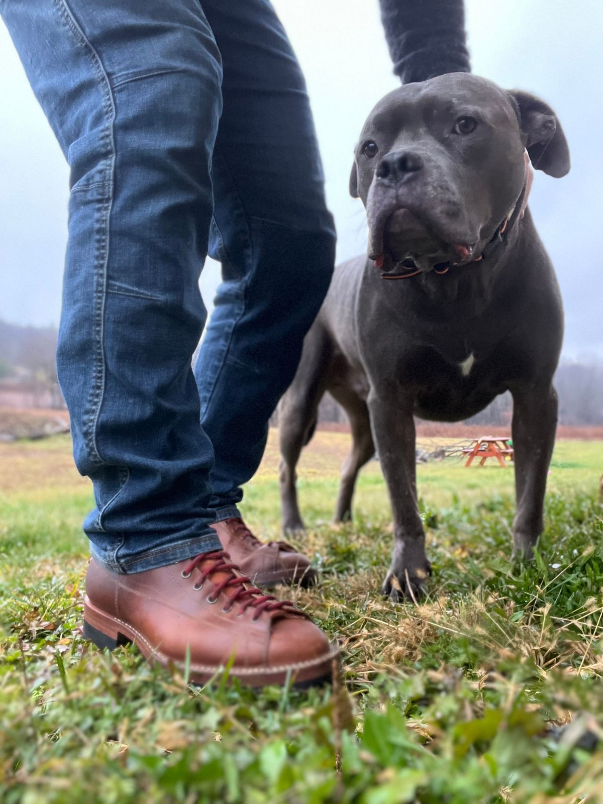 Photo by semperfi9119 on December 3, 2022 of the Hidalgo Boots Monkey Boot in Indonesian Java Brown Pull Up.