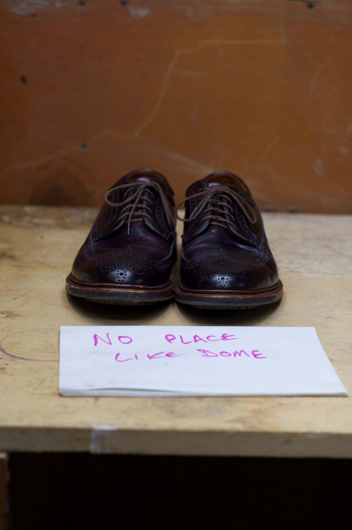 Photo by dontshineyourshoes on November 5, 2022 of the Alden Long Wing Blucher in Horween Color 8 Shell Cordovan.