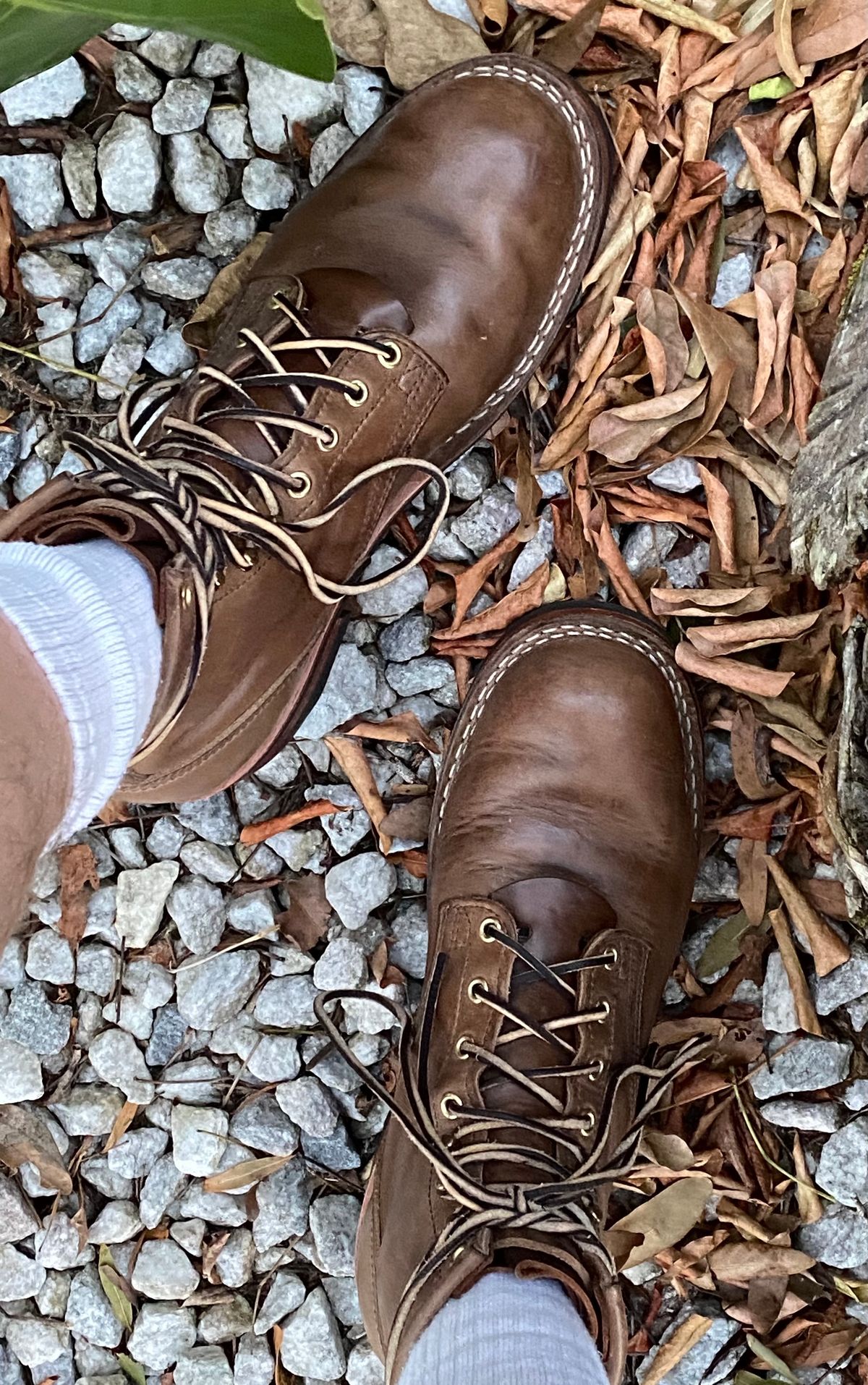 Photo by Gohilboots on November 5, 2023 of the Nicks MTO in Horween Natural Chromexcel.