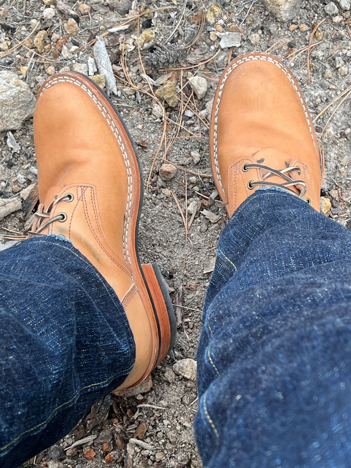 Photo by OldManSteez on November 19, 2025 of the Frank's Boots Wilshire in J&FJ Baker Natural Oak Bark Tanned Harness.