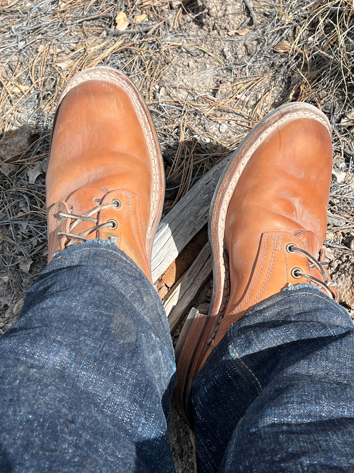 Photo by OldManSteez on March 23, 2026 of the Frank's Boots Wilshire in J&FJ Baker Natural Oak Bark Tanned Harness.