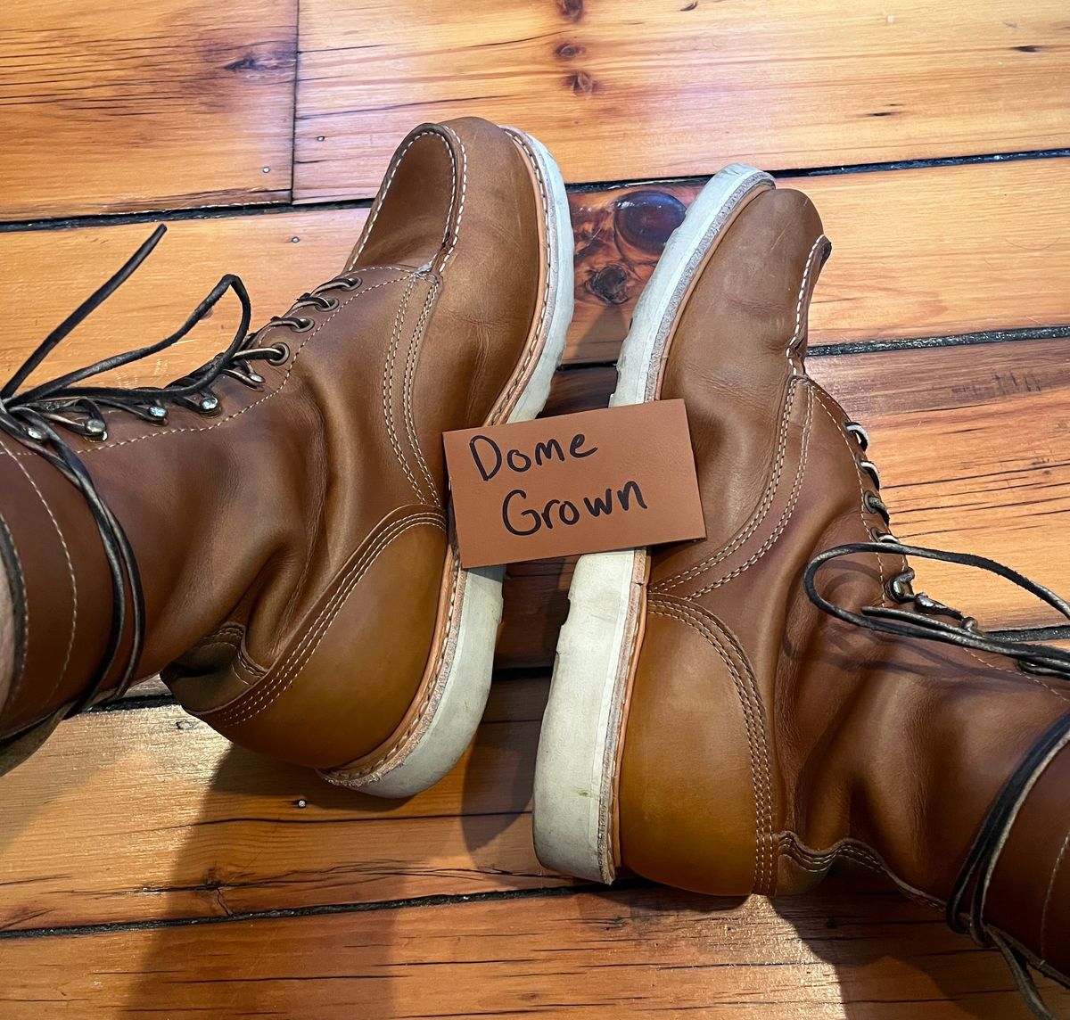Photo by clarkbars on November 5, 2023 of the White's Perry 8" Select in Seidel Natural Double Shot.