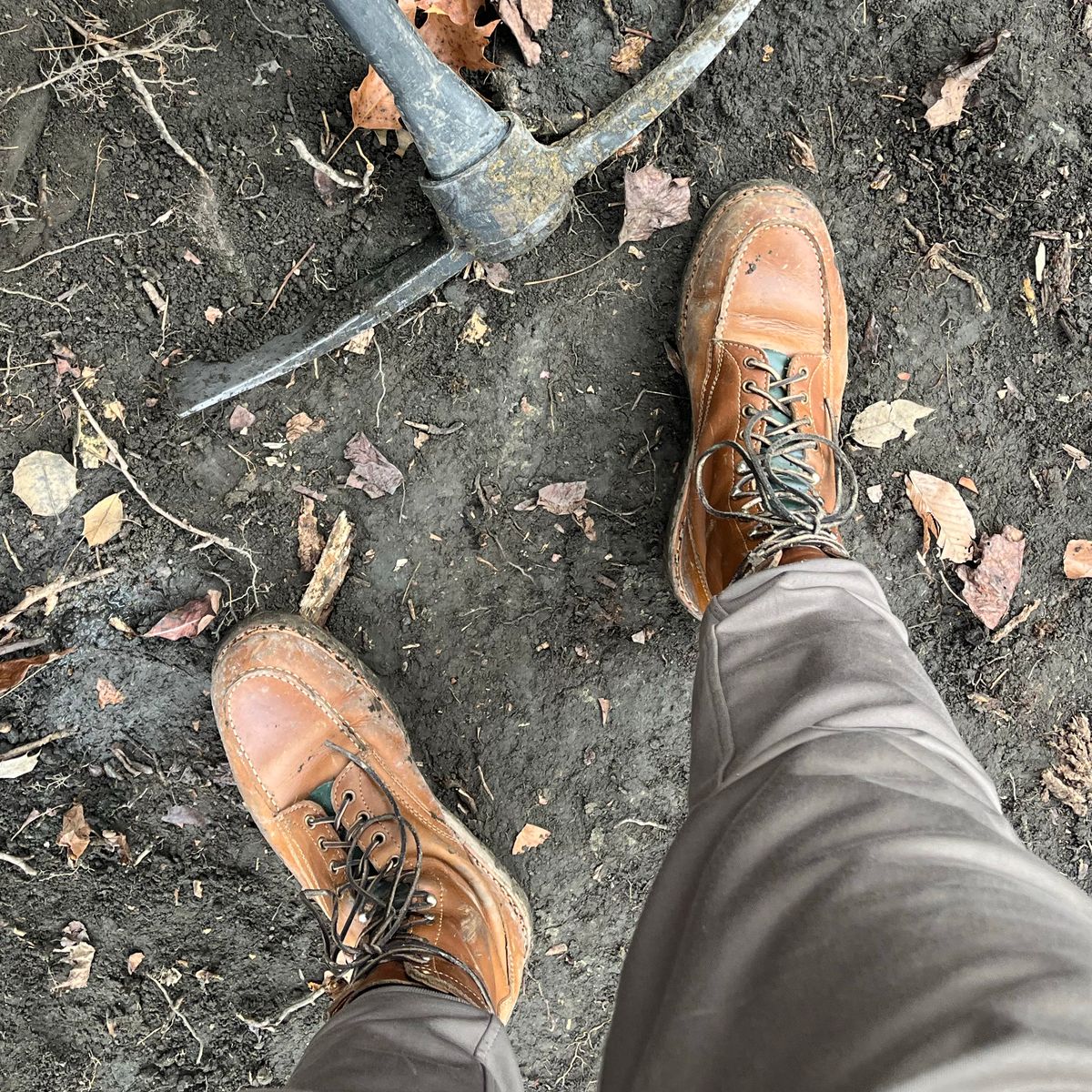 Photo by clarkbars on November 26, 2023 of the White's Perry 8" Select in Seidel Natural Double Shot.