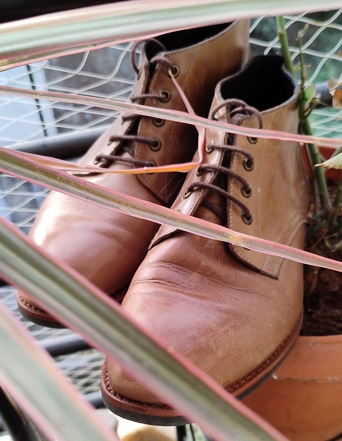 Photo by altobuff on January 2, 2024 of the Blkbrd Shoemaker Walburg 5-Eyelet Chukka Boot in Horween Natural Chromexcel.