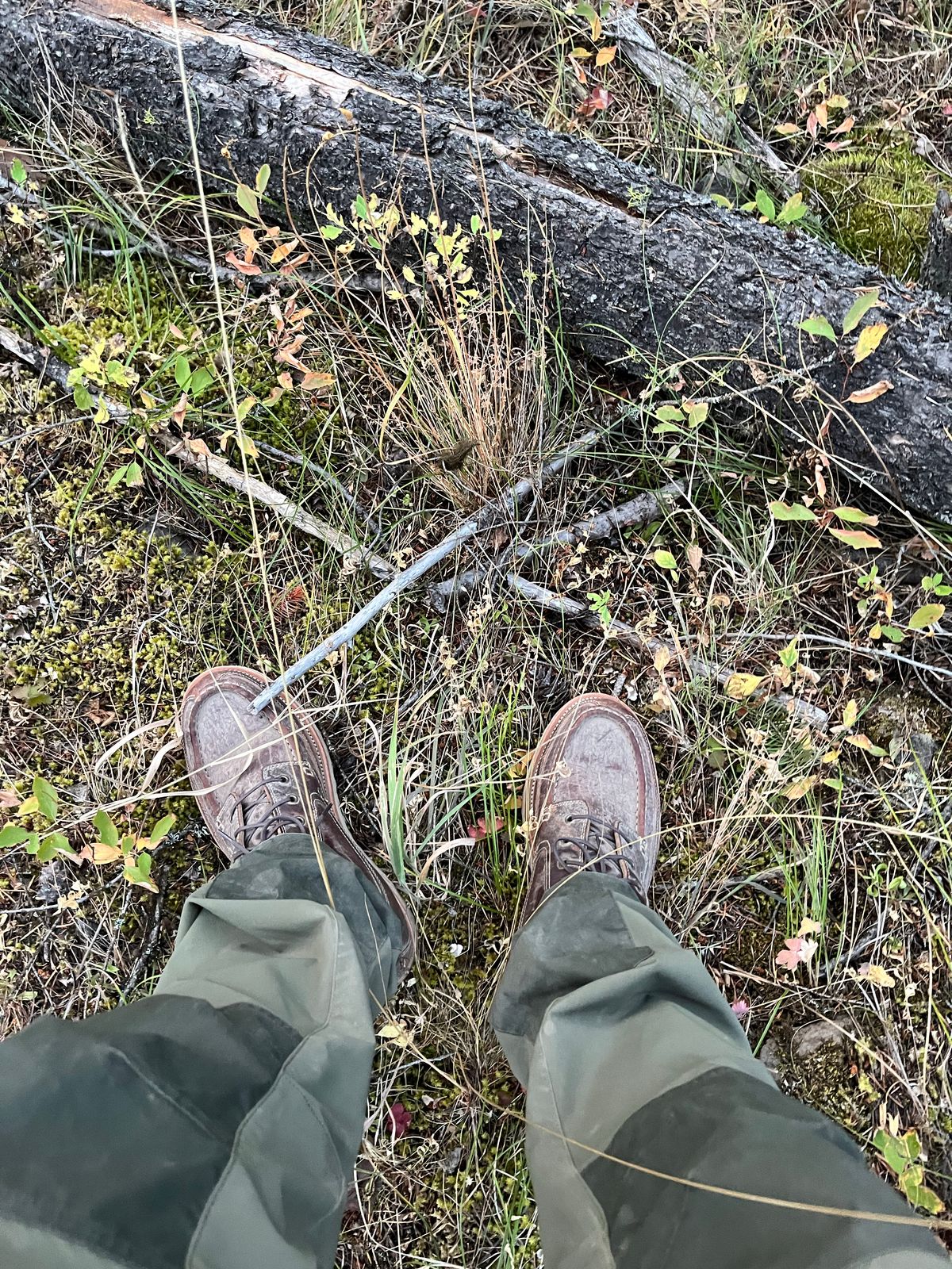 Photo by daftdonald on October 8, 2022 of the Grant Stone Field Boot in Seidel Walnut Bison.