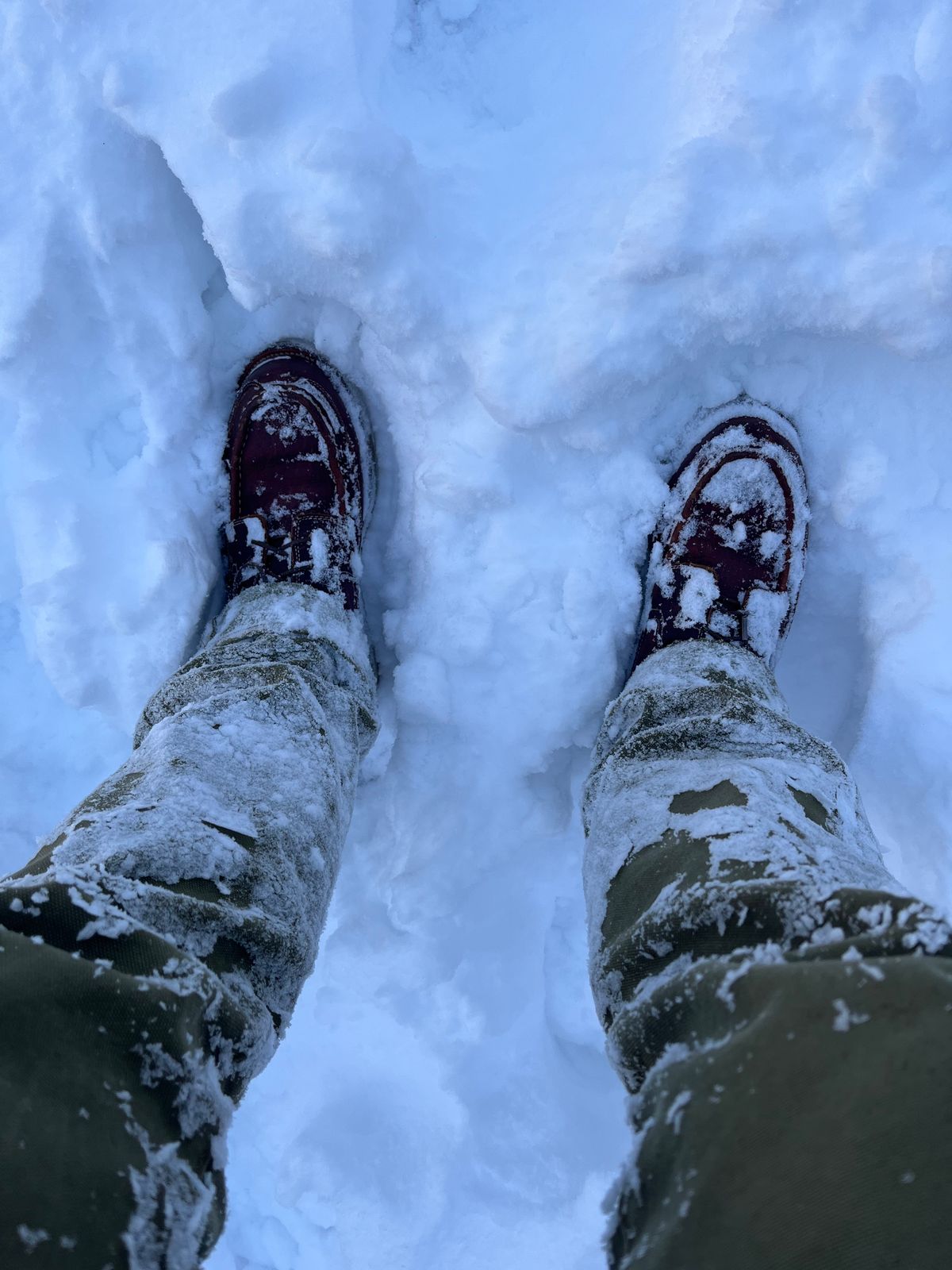 Photo by daftdonald on March 6, 2023 of the Grant Stone Field Boot in Seidel Walnut Bison.