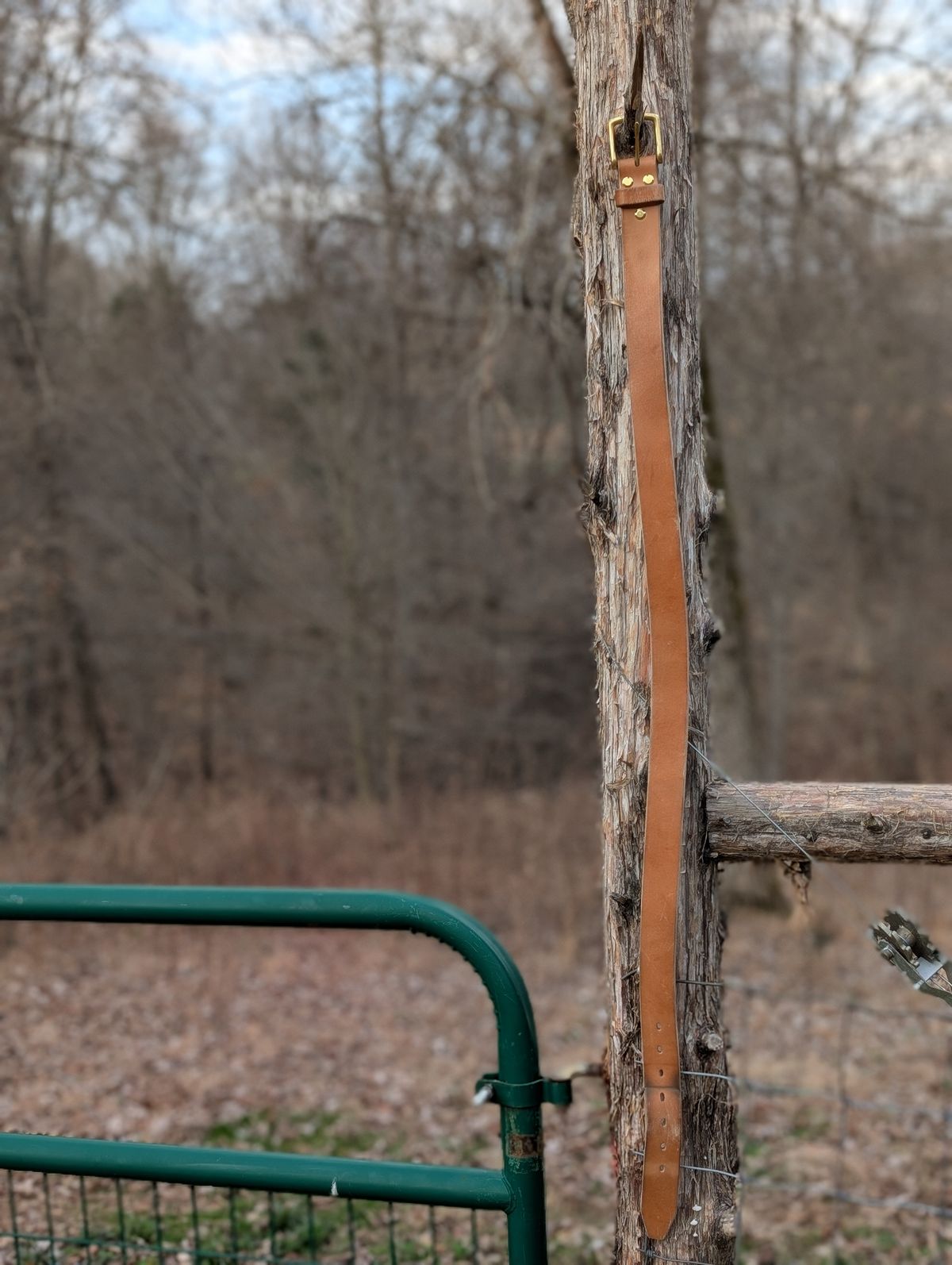 Photo by Lazy_Spread on March 5, 2026 of the Carmine Jack Leather 2025 Thunderdome Natural Shipyard Belt in J&FJ Baker Natural Oak Bark Bridle.