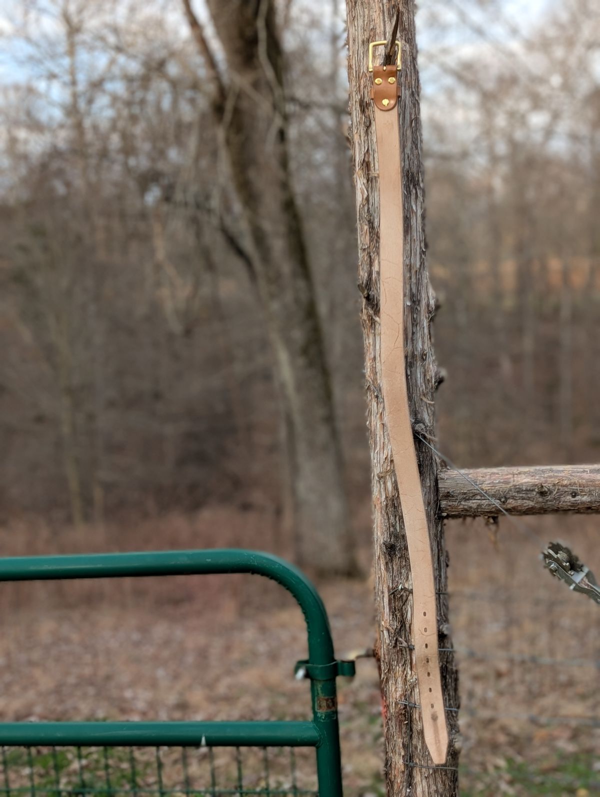 Photo by Lazy_Spread on March 5, 2026 of the Carmine Jack Leather 2025 Thunderdome Natural Shipyard Belt in J&FJ Baker Natural Oak Bark Bridle.