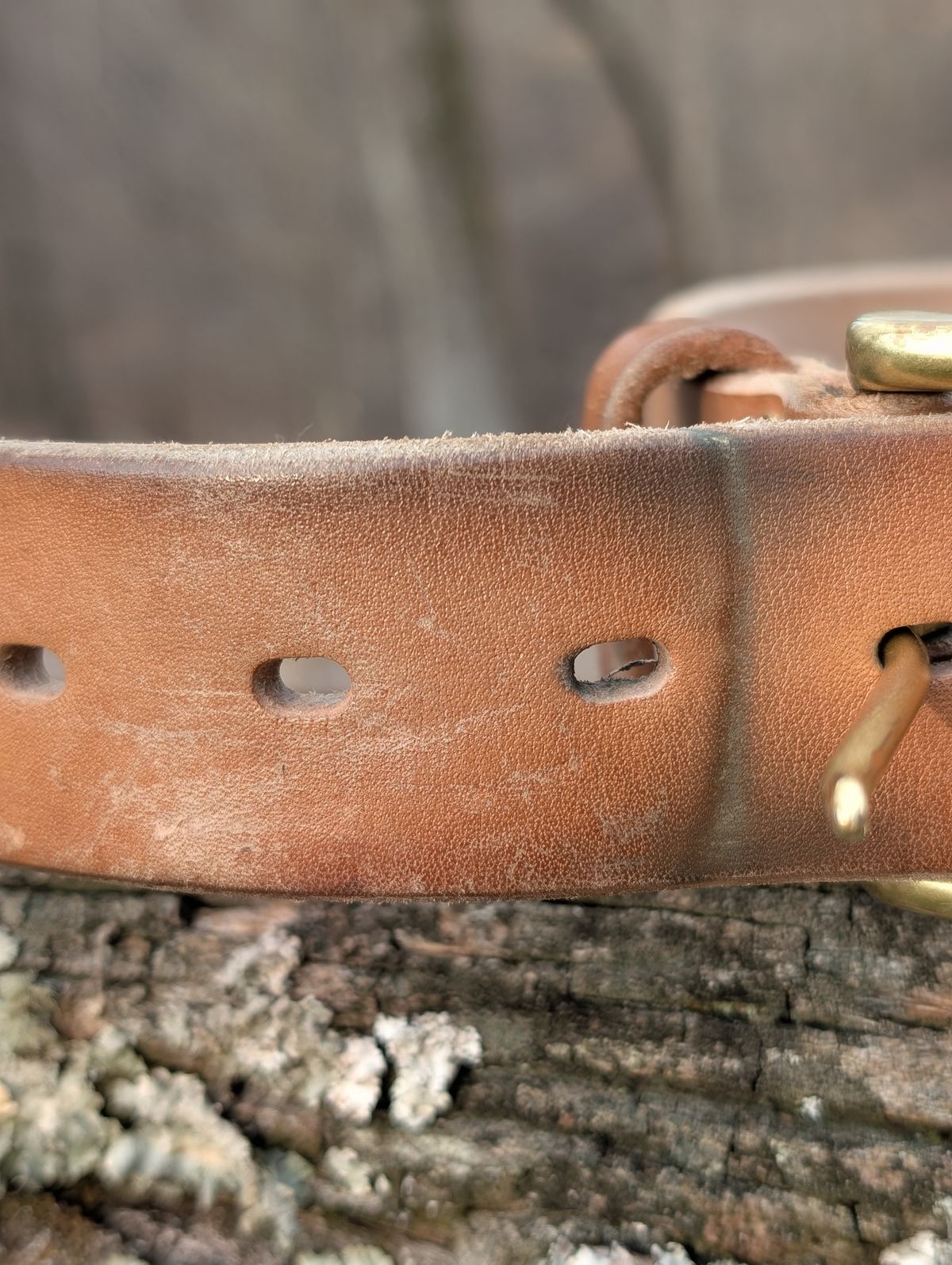 Photo by Lazy_Spread on March 5, 2026 of the Carmine Jack Leather 2025 Thunderdome Natural Shipyard Belt in J&FJ Baker Natural Oak Bark Bridle.