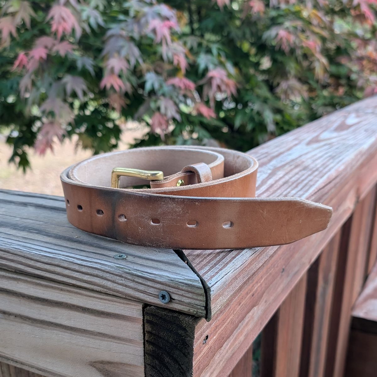 Photo by Lazy_Spread on April 5, 2026 of the Carmine Jack Leather 2025 Thunderdome Natural Shipyard Belt in J&FJ Baker Natural Oak Bark Bridle.