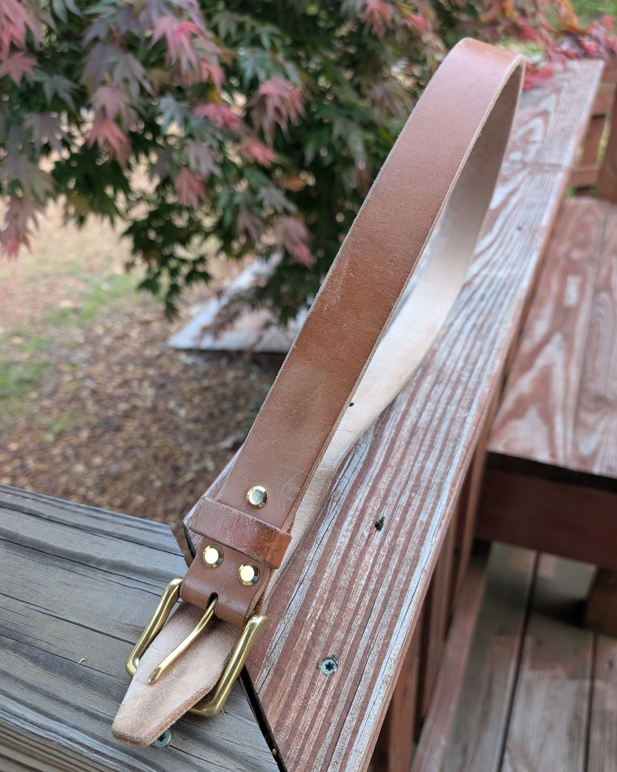 Photo by Lazy_Spread on April 5, 2026 of the Carmine Jack Leather 2025 Thunderdome Natural Shipyard Belt in J&FJ Baker Natural Oak Bark Bridle.