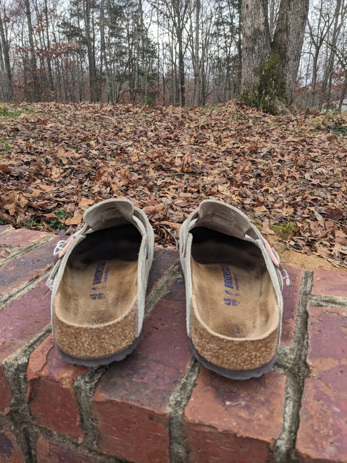 Photo by Lazy_Spread on December 4, 2023 of the Birkenstock Boston in Taupe Suede.