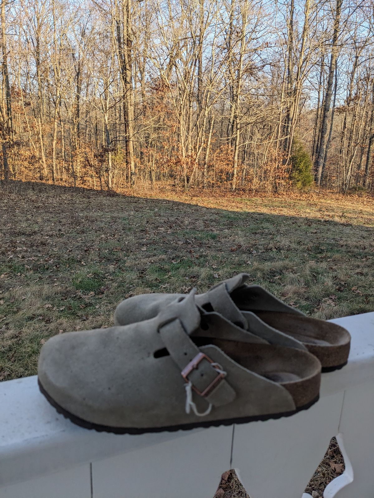 Photo by Lazy_Spread on January 4, 2024 of the Birkenstock Boston in Taupe Suede.