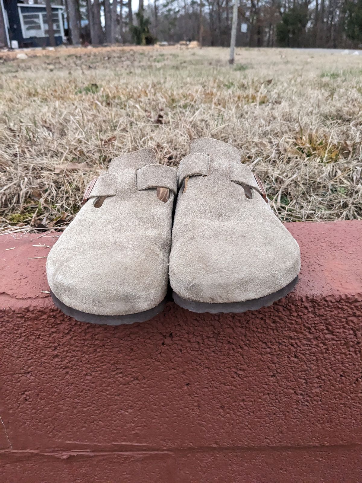 Photo by Lazy_Spread on February 4, 2024 of the Birkenstock Boston in Taupe Suede.