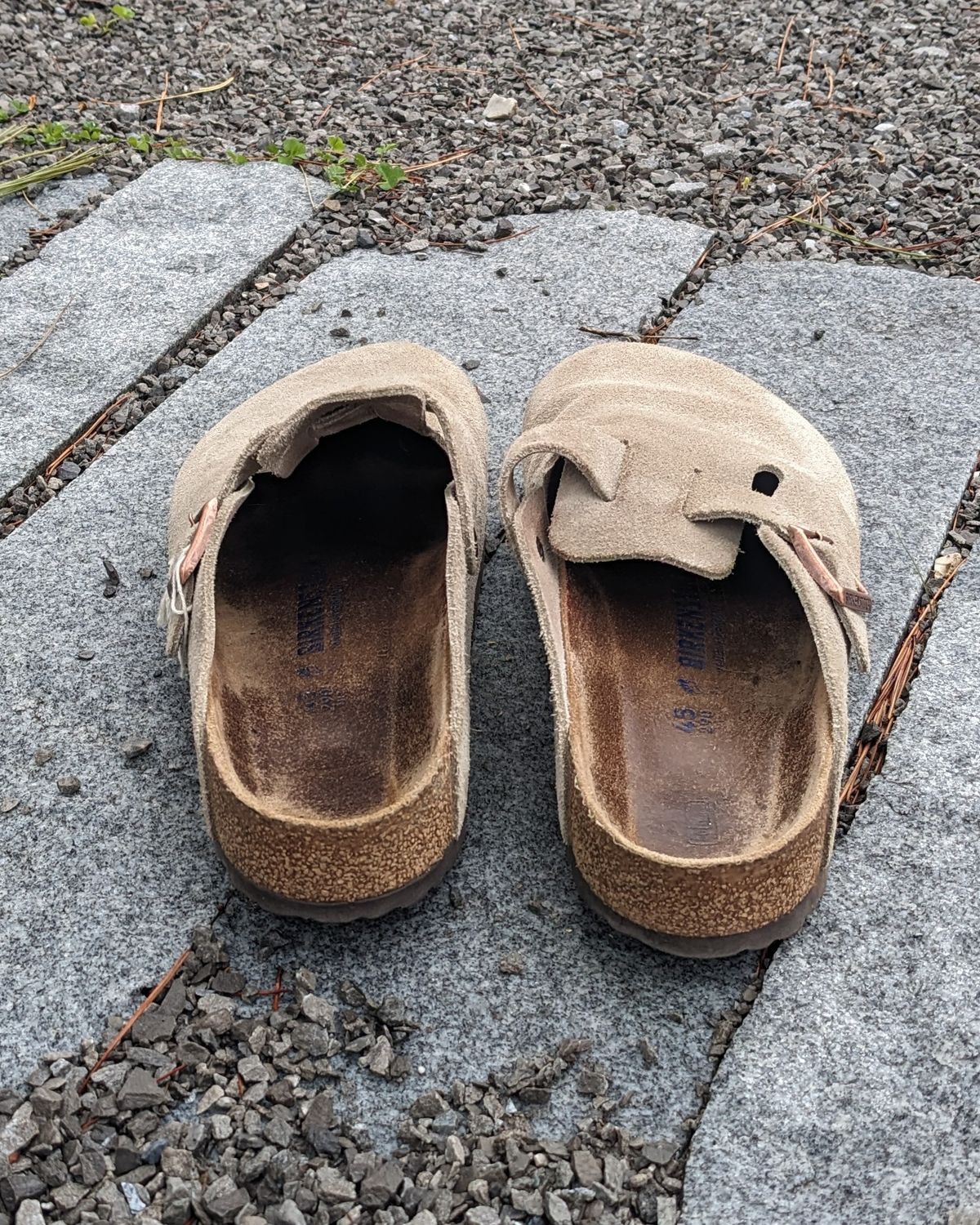 Photo by Lazy_Spread on March 1, 2024 of the Birkenstock Boston in Taupe Suede.