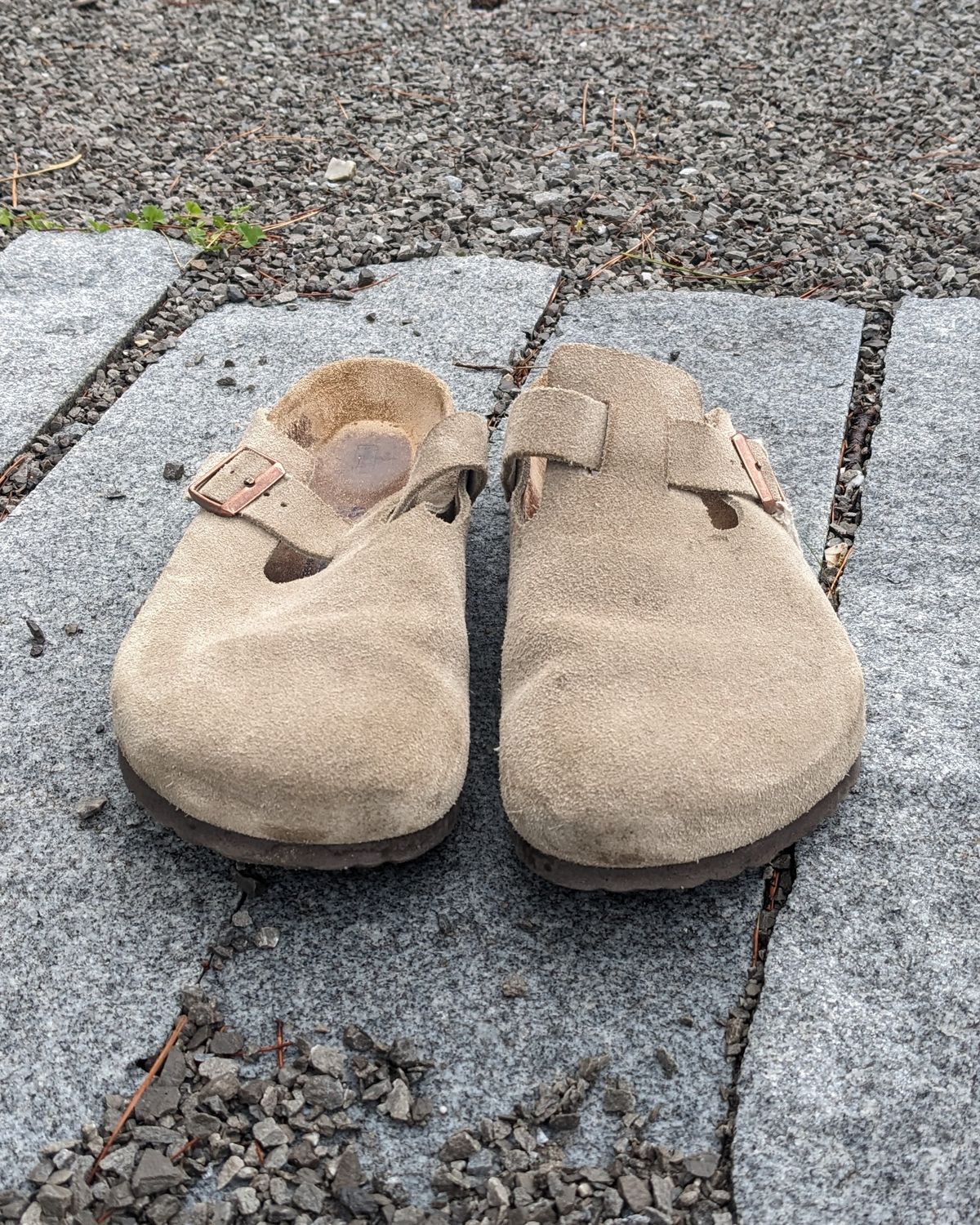 Photo by Lazy_Spread on March 1, 2024 of the Birkenstock Boston in Taupe Suede.