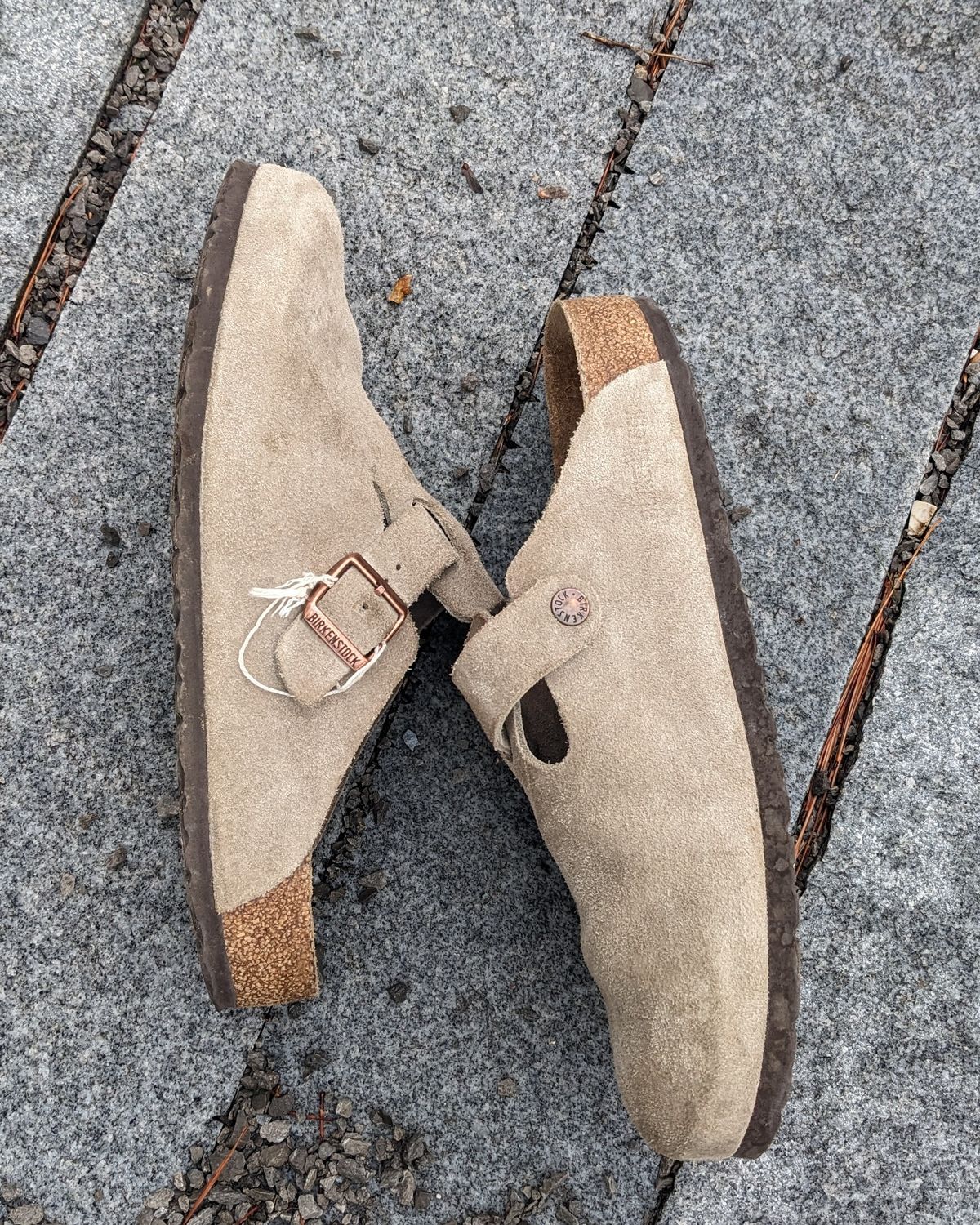 Photo by Lazy_Spread on March 1, 2024 of the Birkenstock Boston in Taupe Suede.