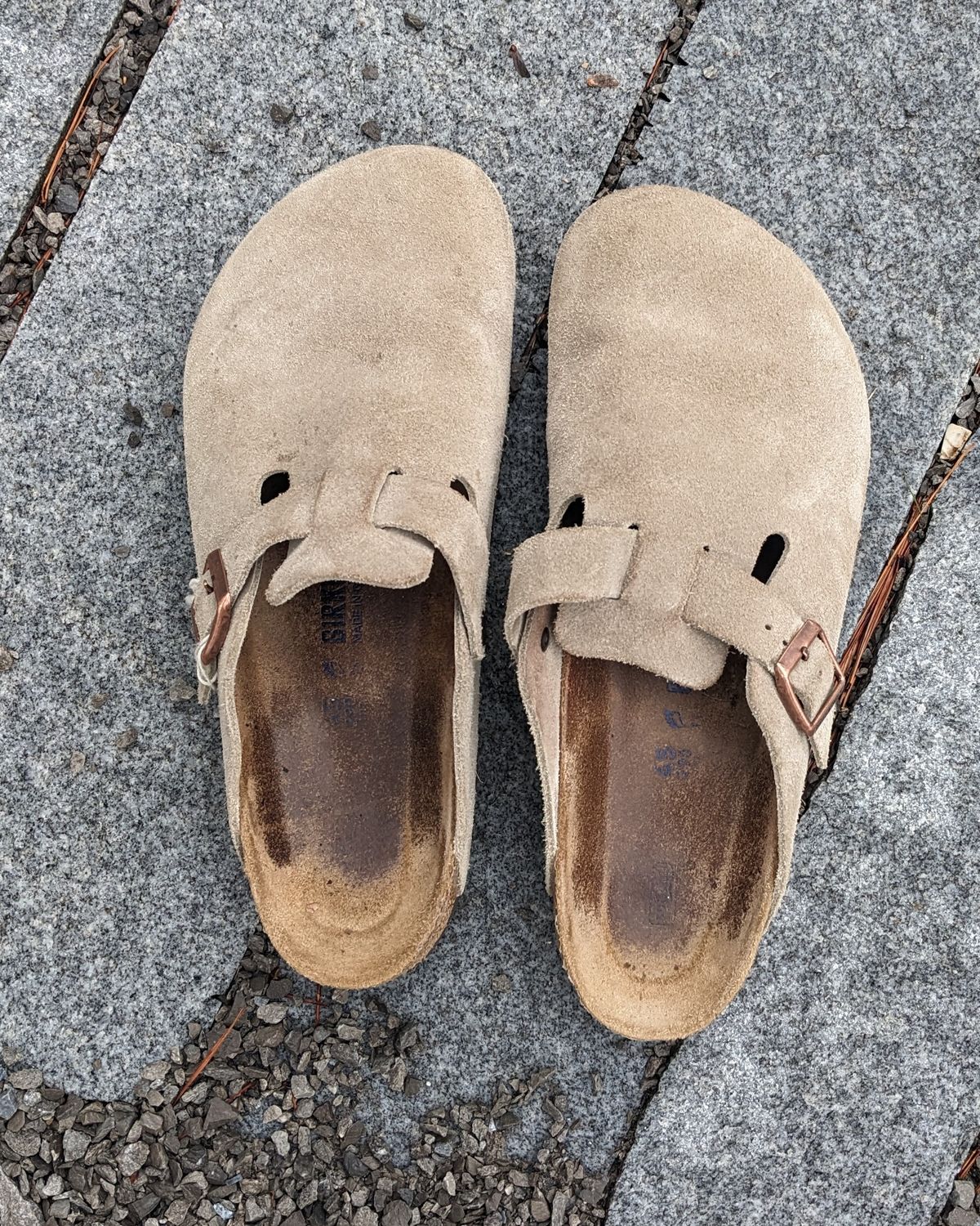 Photo by Lazy_Spread on March 1, 2024 of the Birkenstock Boston in Taupe Suede.