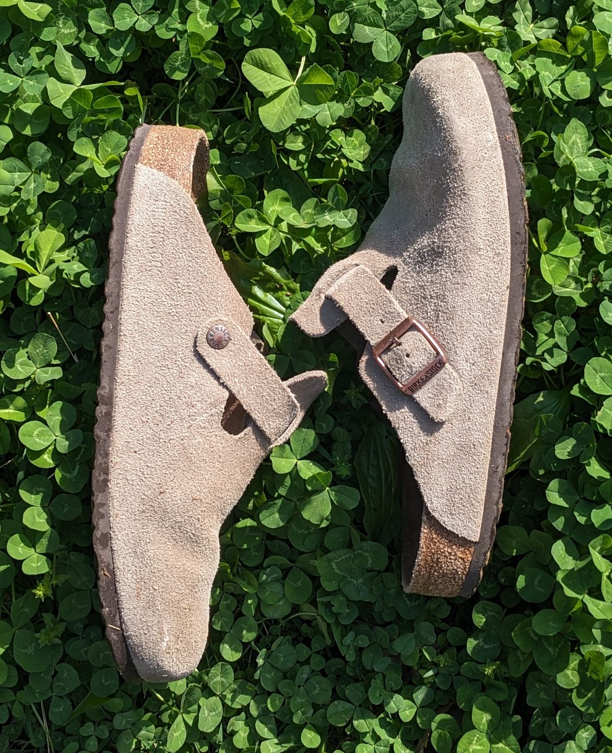 Photo by Lazy_Spread on April 5, 2024 of the Birkenstock Boston in Taupe Suede.