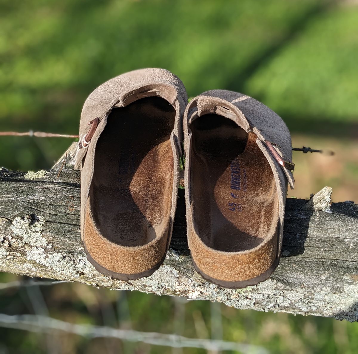 Photo by Lazy_Spread on April 5, 2024 of the Birkenstock Boston in Taupe Suede.