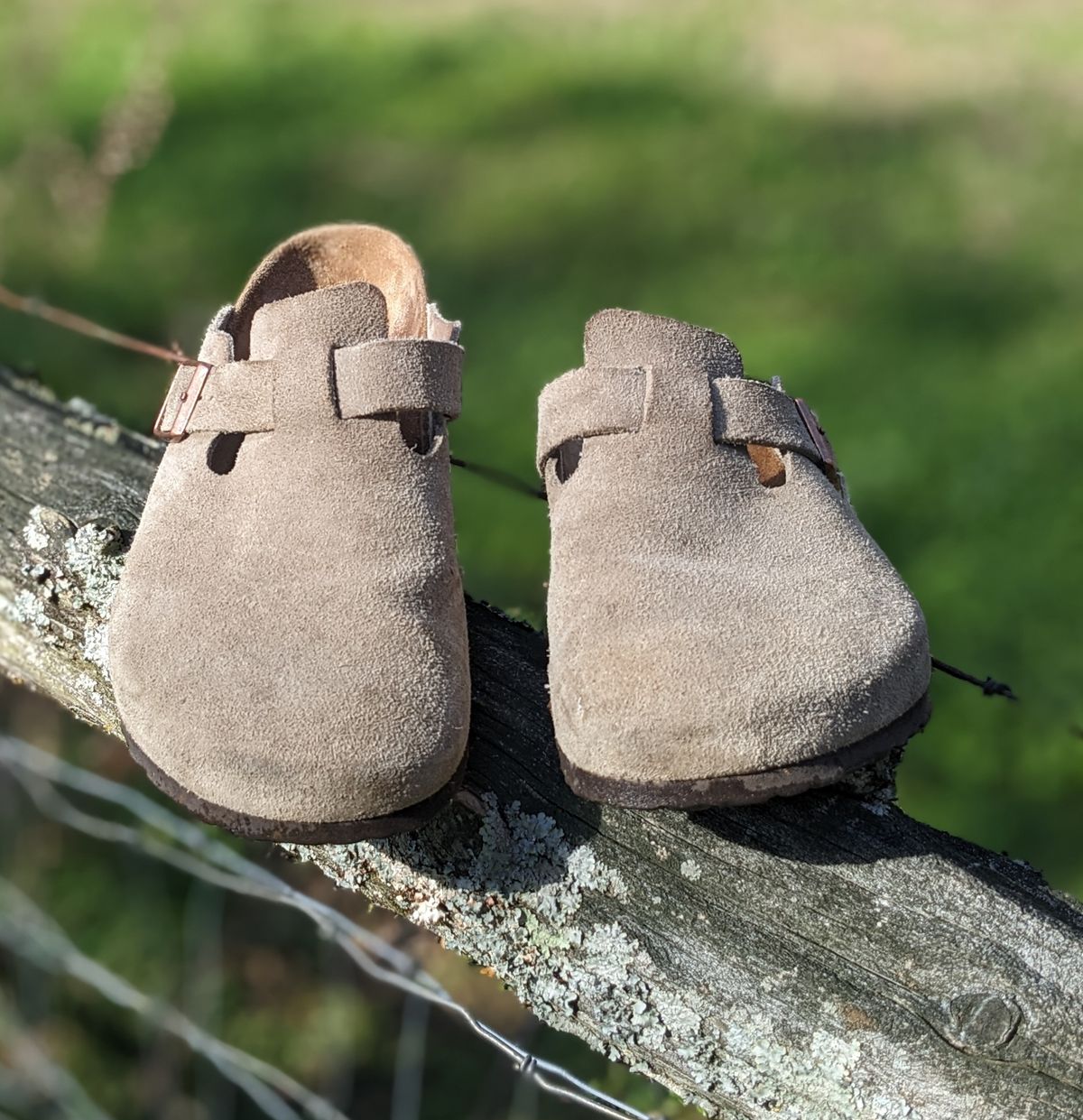 Photo by Lazy_Spread on April 5, 2024 of the Birkenstock Boston in Taupe Suede.