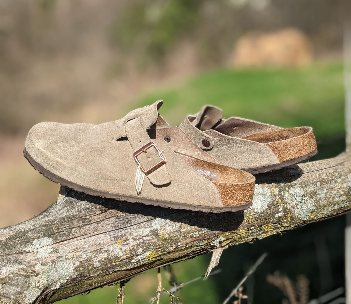 Photo by Lazy_Spread on April 5, 2024 of the Birkenstock Boston in Taupe Suede.