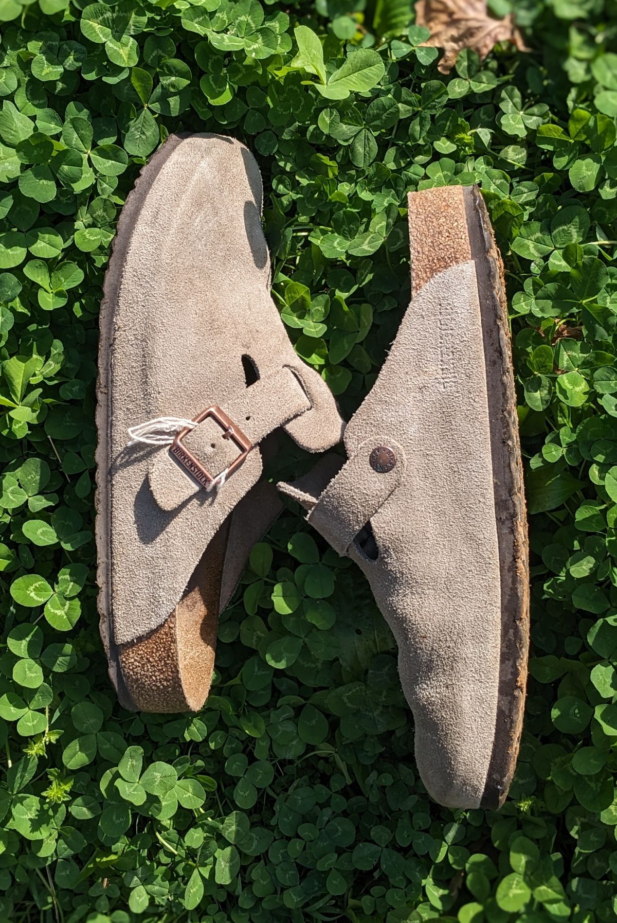 Photo by Lazy_Spread on April 5, 2024 of the Birkenstock Boston in Taupe Suede.